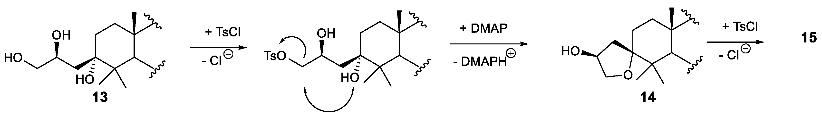 Ijms 25 08480 sch002
