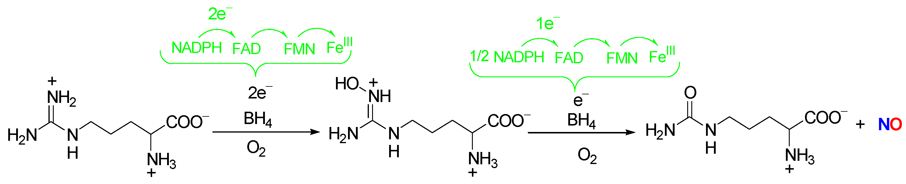 Ijms 25 08486 sch001