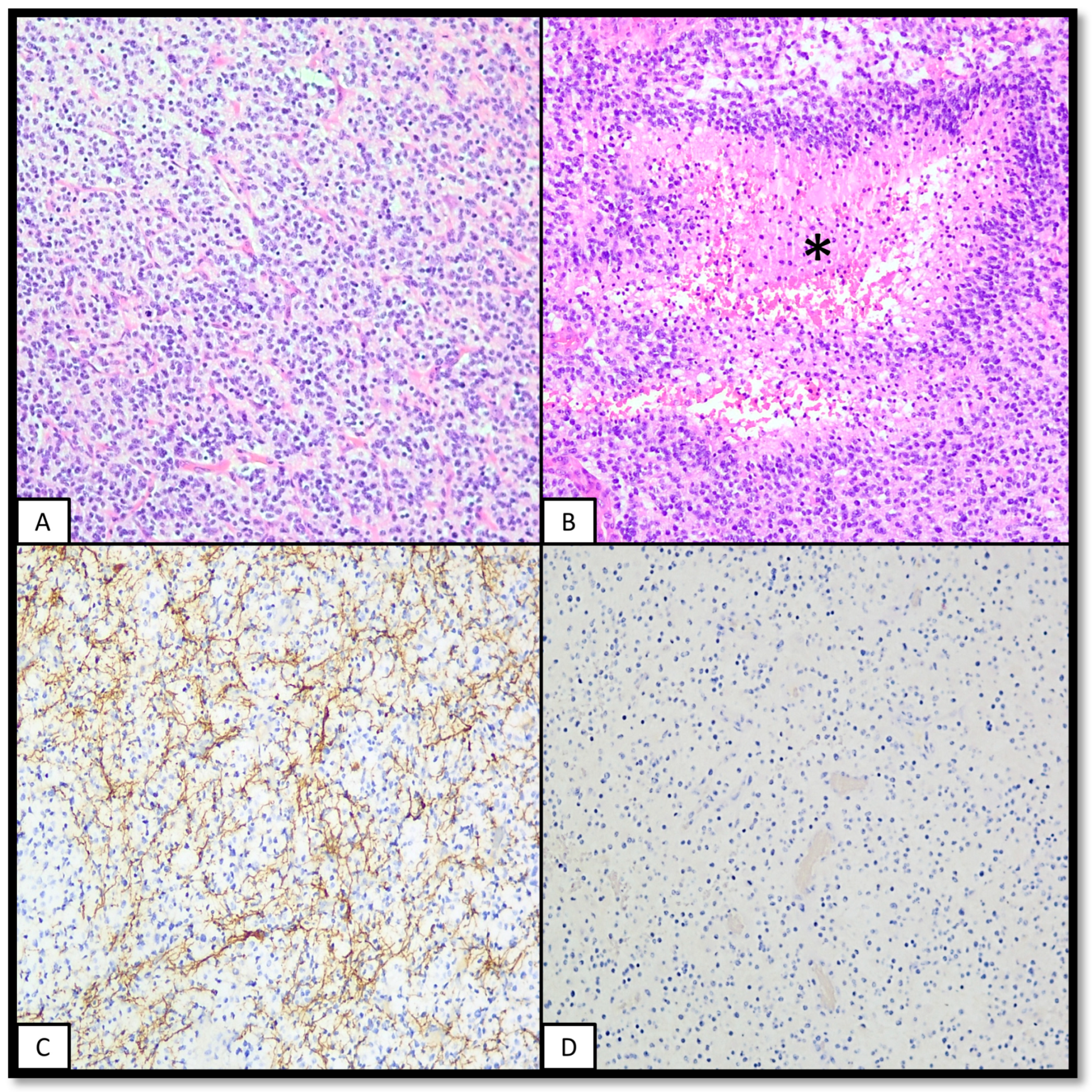 Ijms 25 08498 g004