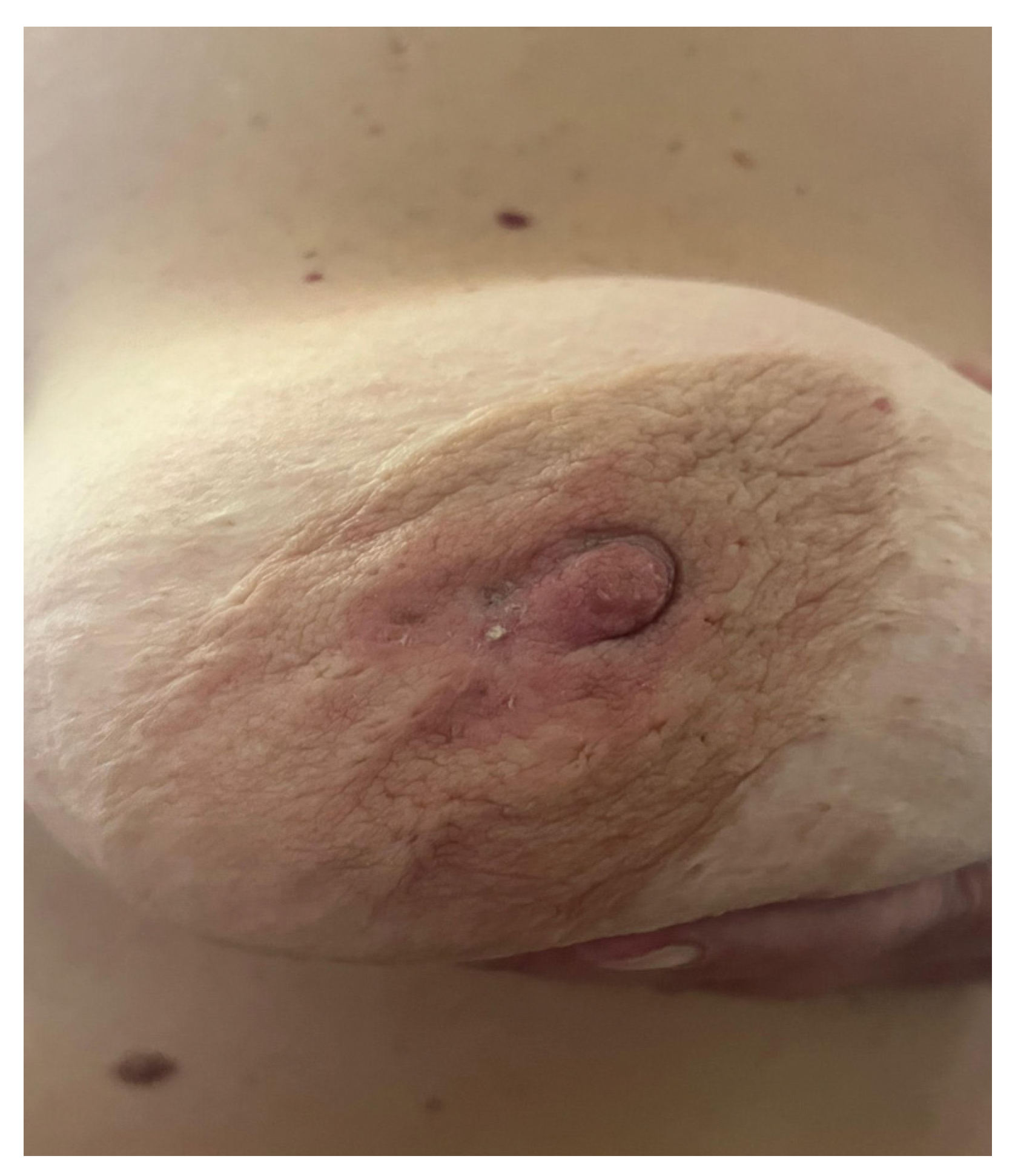 Ijms 25 08506 g002 Ijms 25 08506 g002