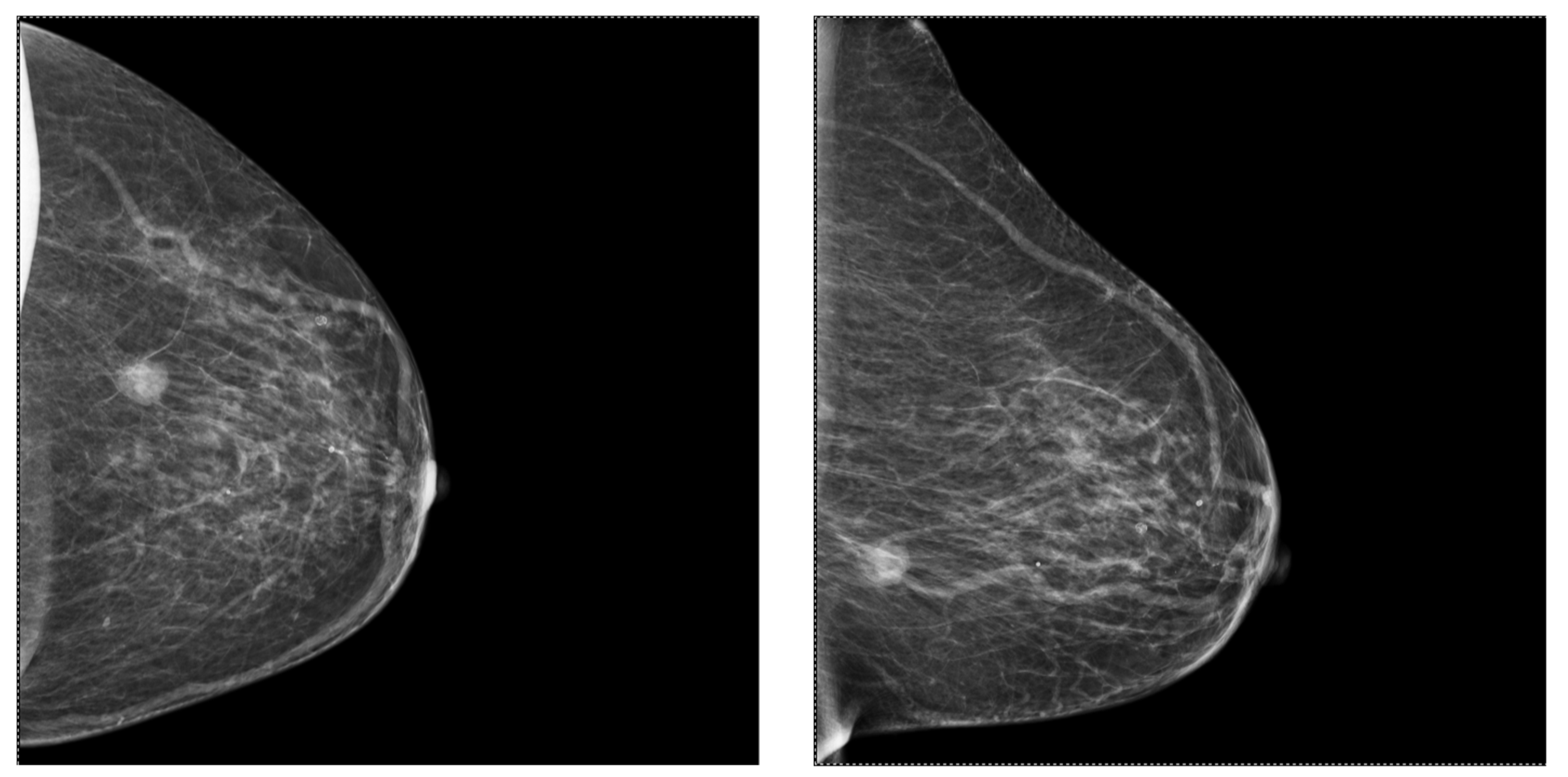 Ijms 25 08506 g006 Ijms 25 08506 g006