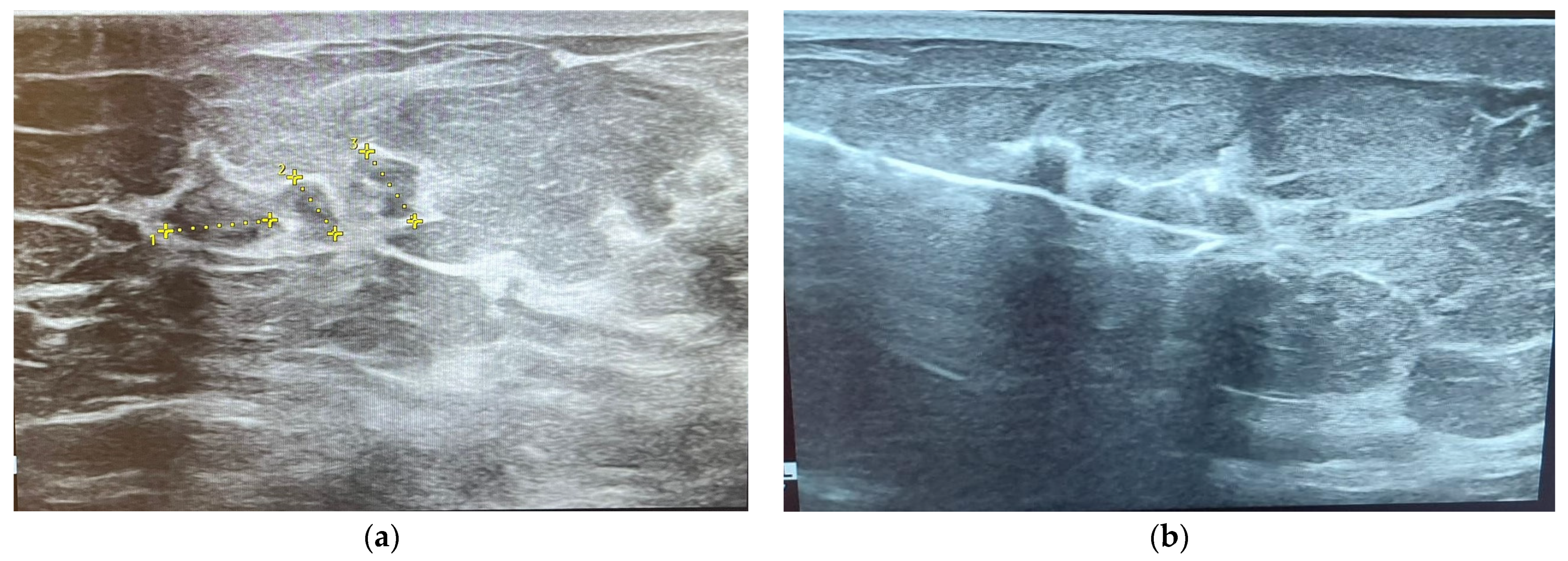 Ijms 25 08506 g007 Ijms 25 08506 g007