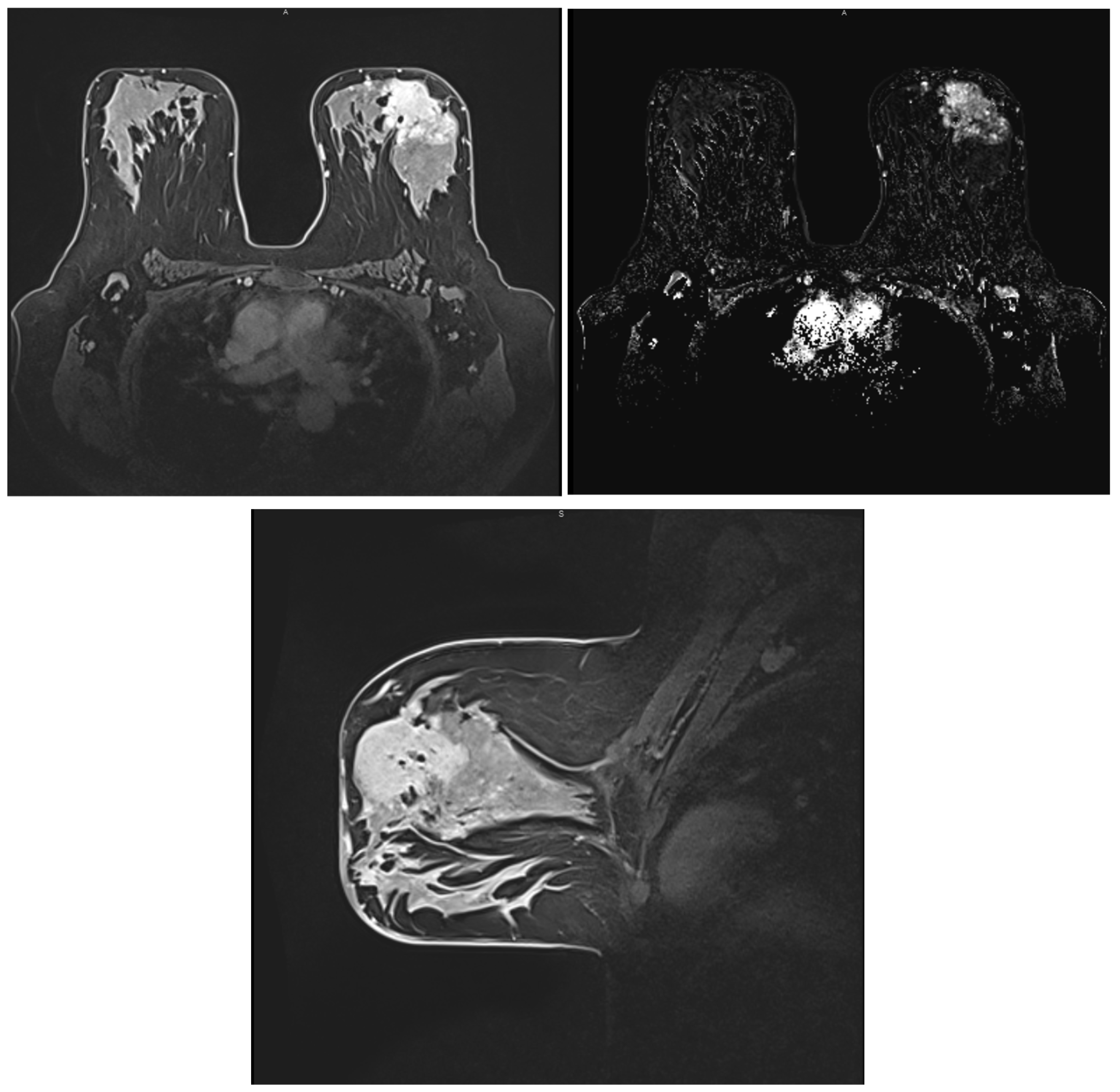 Ijms 25 08506 g008 Ijms 25 08506 g008