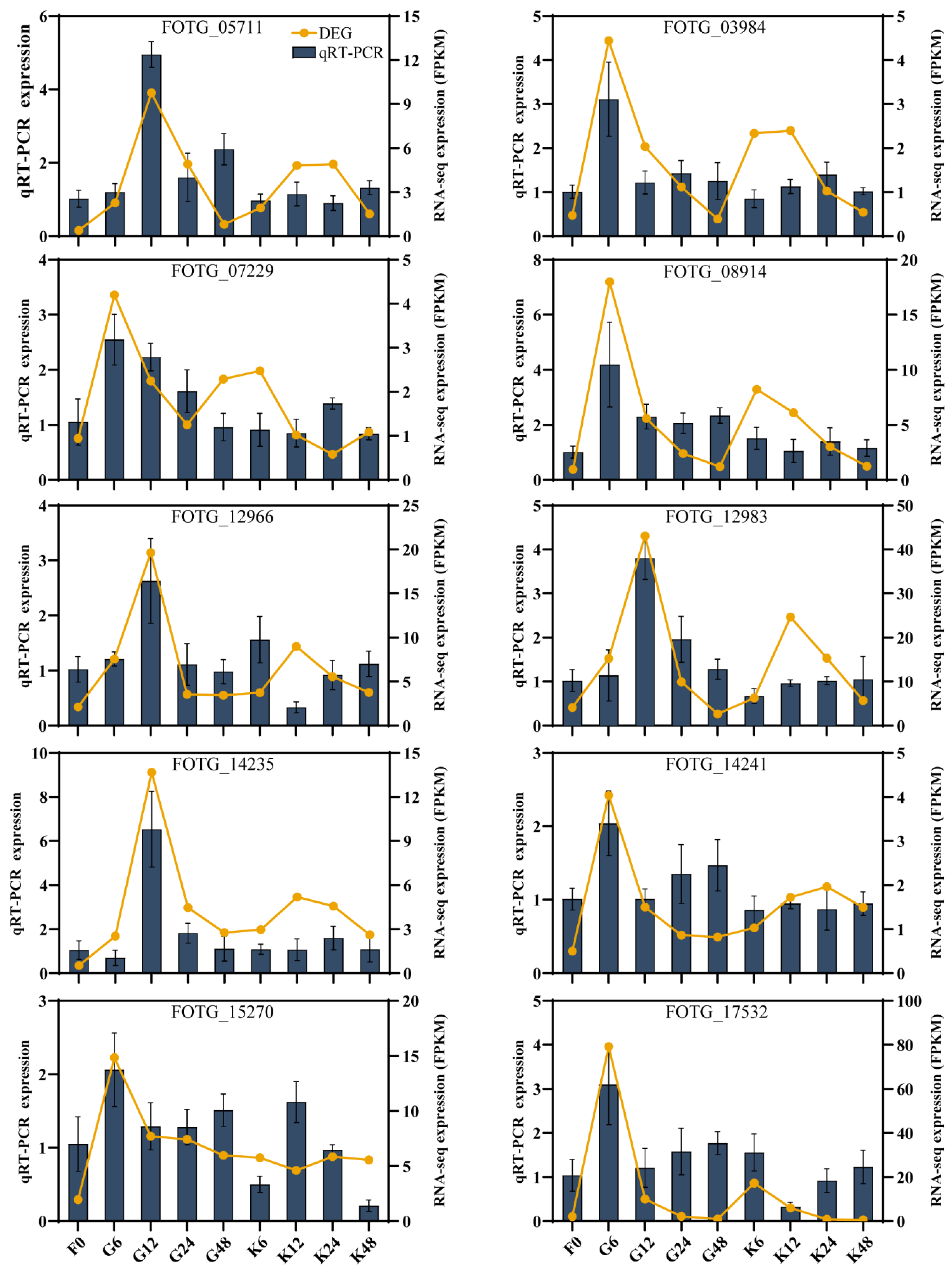 Ijms 25 08517 g002 Ijms 25 08517 g002