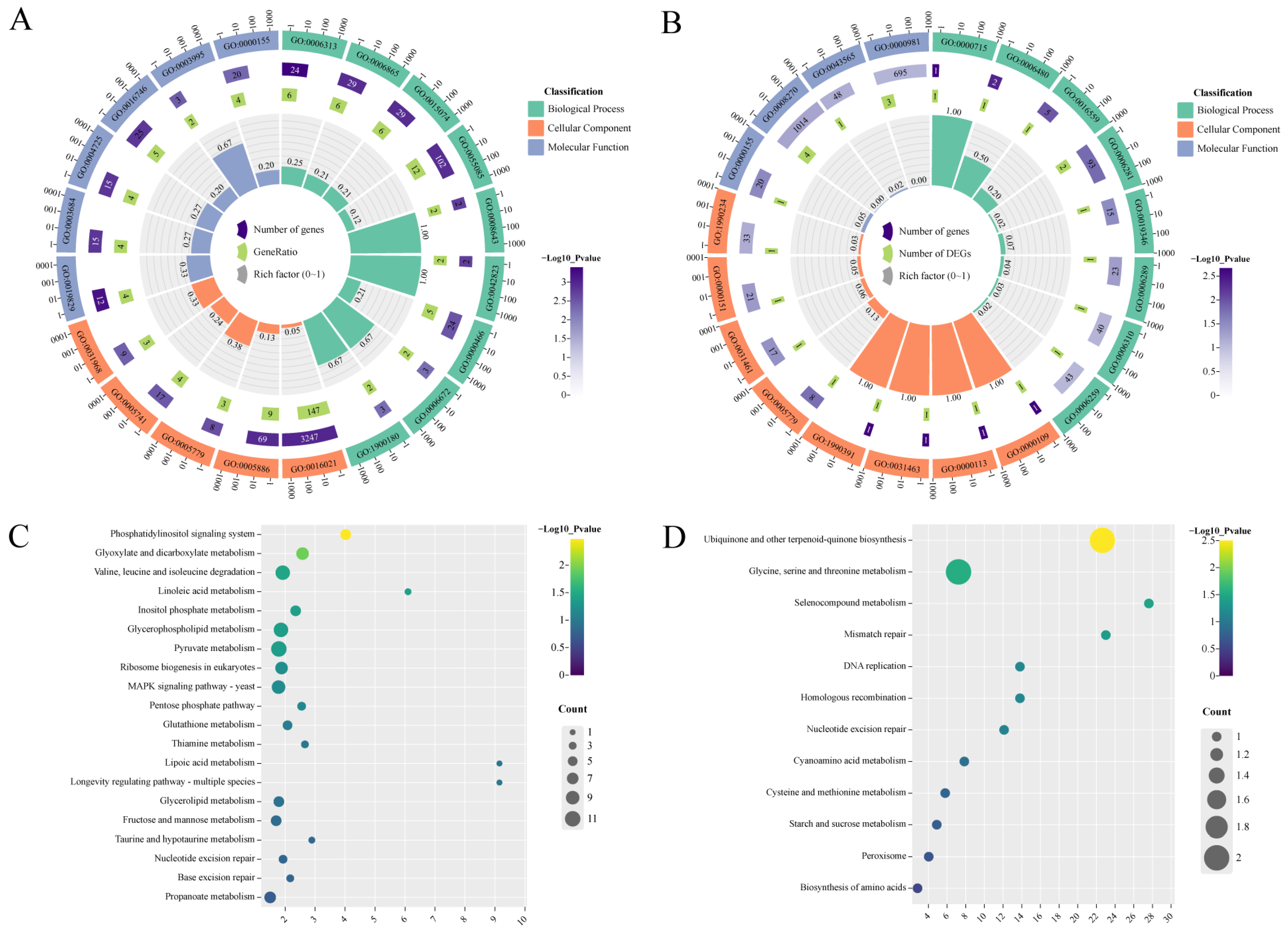 Ijms 25 08517 g004 Ijms 25 08517 g004