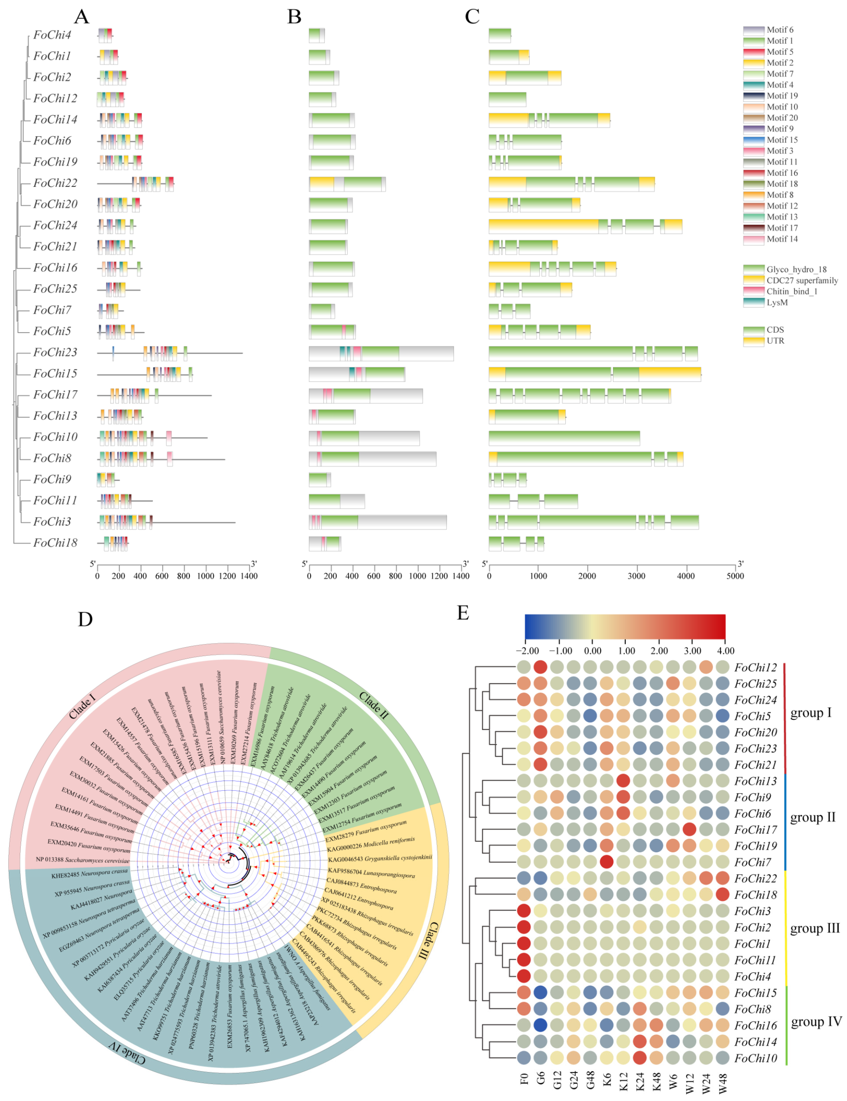 Ijms 25 08517 g006 Ijms 25 08517 g006