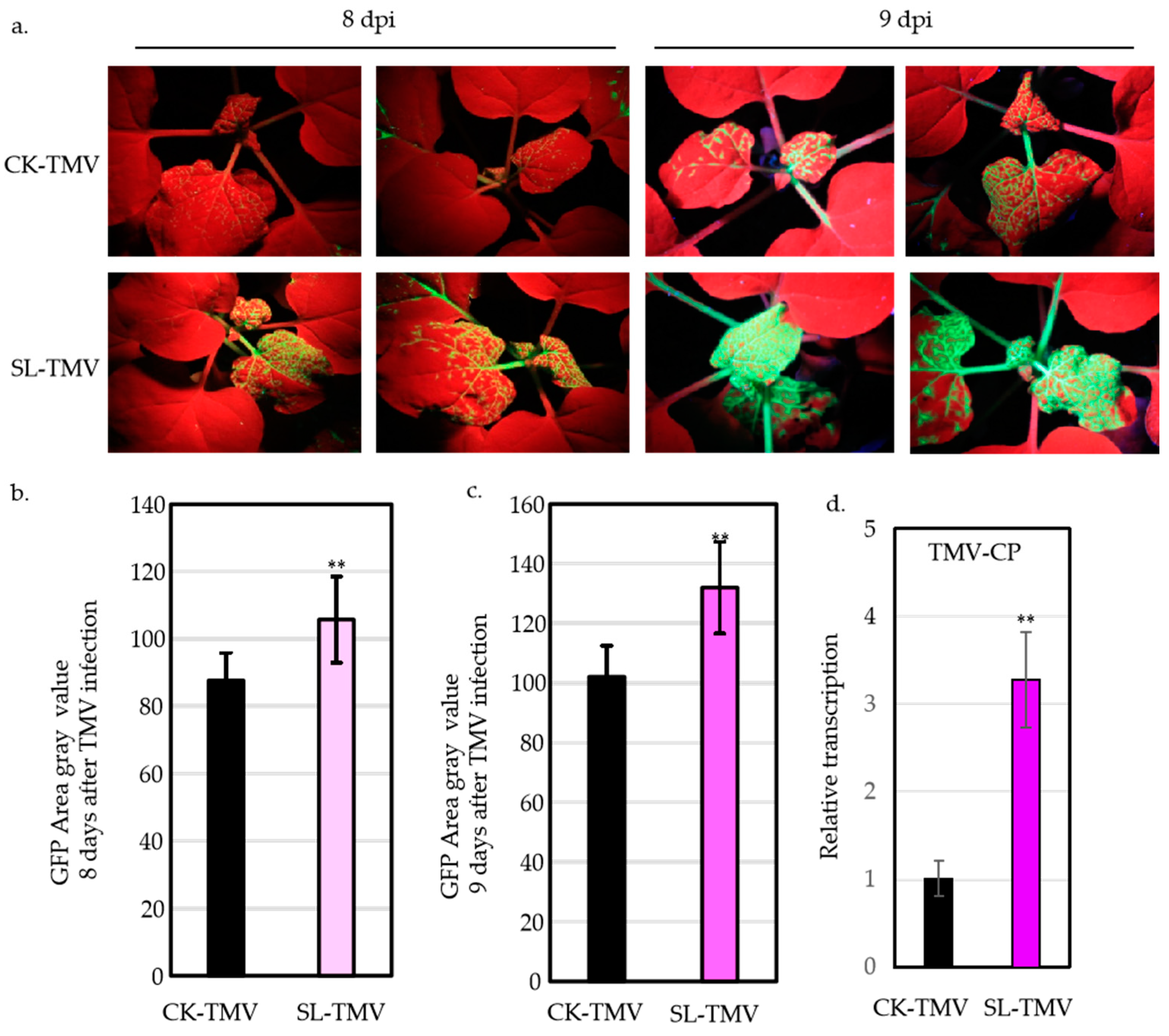 Ijms 25 08518 g001 Ijms 25 08518 g001