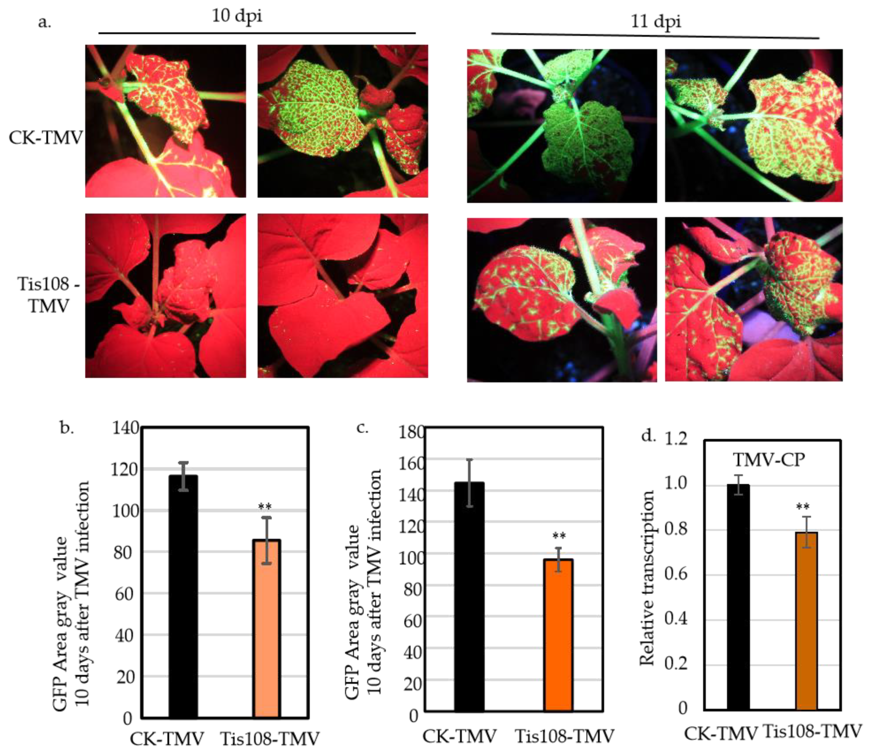Ijms 25 08518 g002 Ijms 25 08518 g002