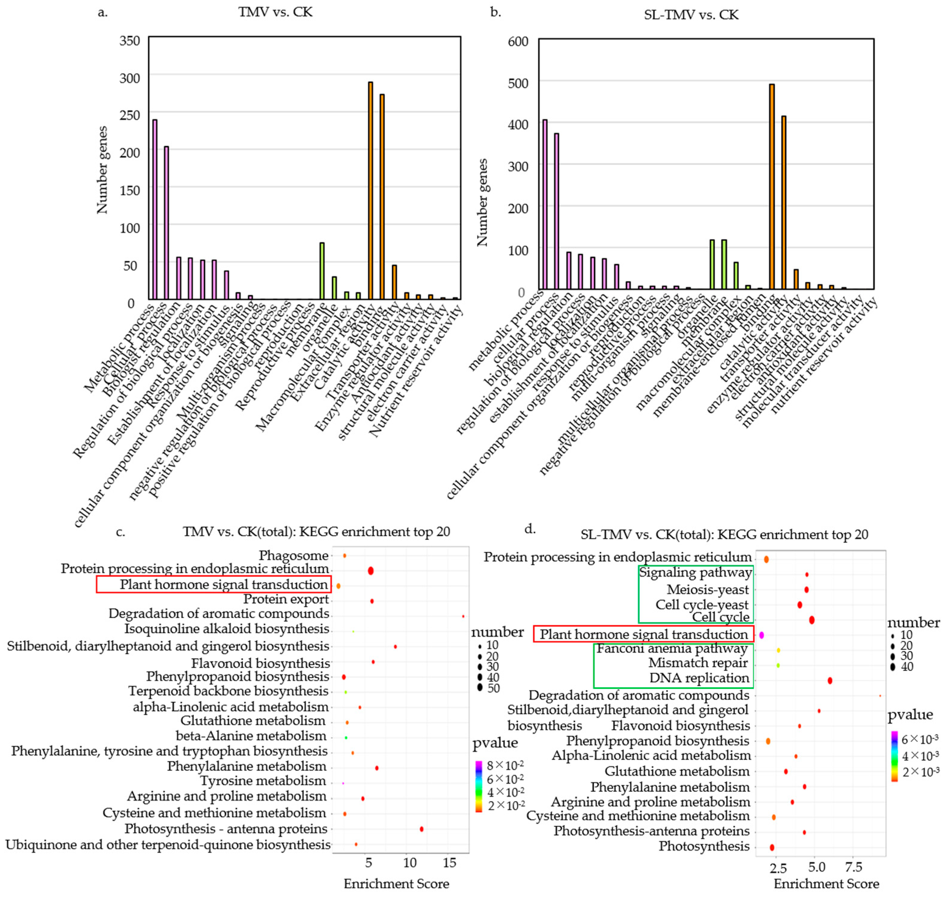Ijms 25 08518 g005 Ijms 25 08518 g005