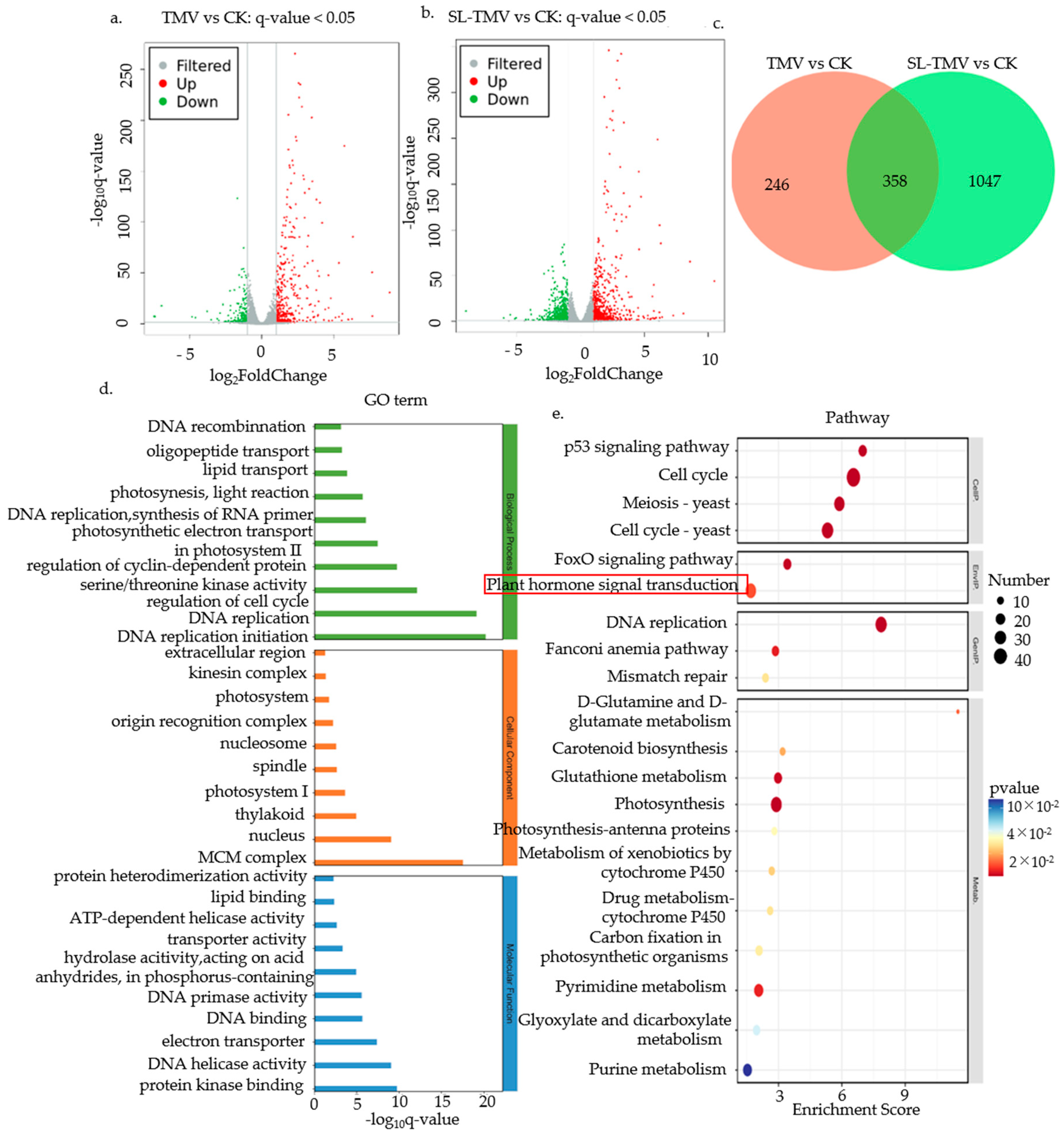 Ijms 25 08518 g006 Ijms 25 08518 g006