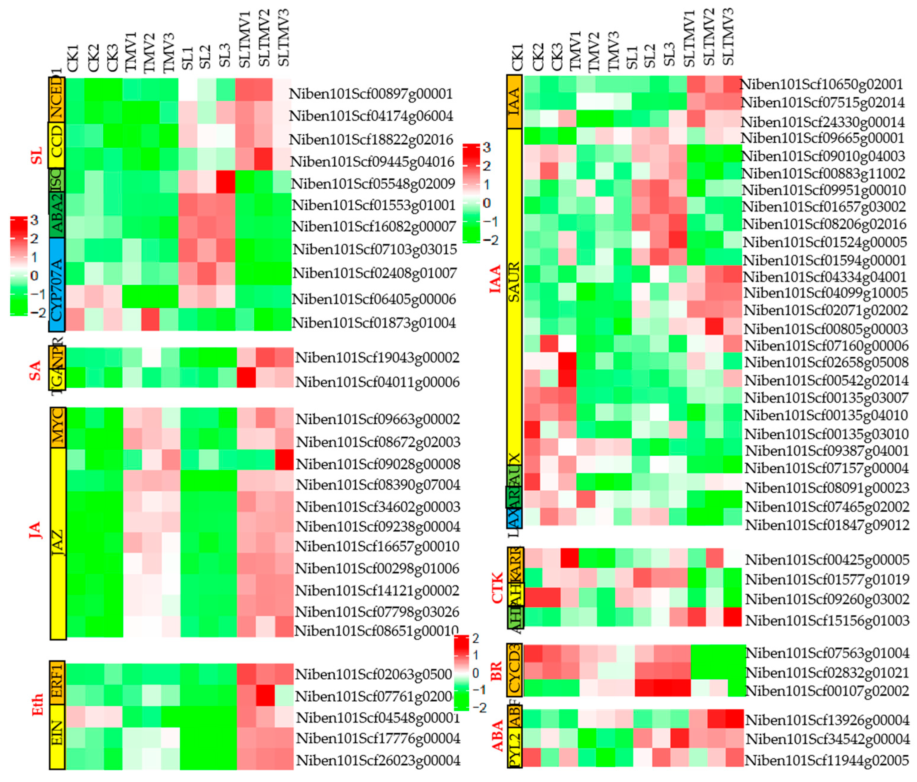 Ijms 25 08518 g008 Ijms 25 08518 g008