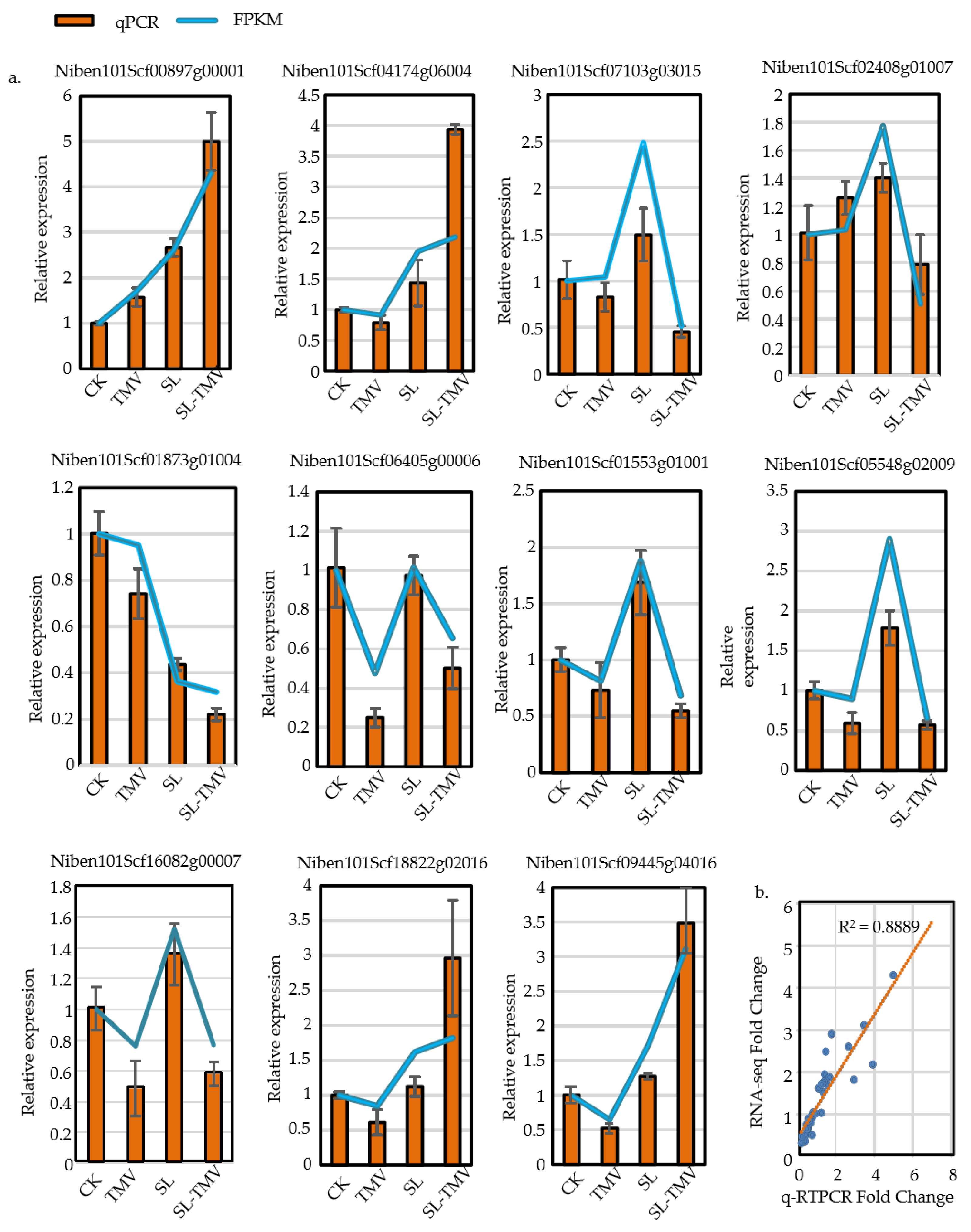 Ijms 25 08518 g009 Ijms 25 08518 g009