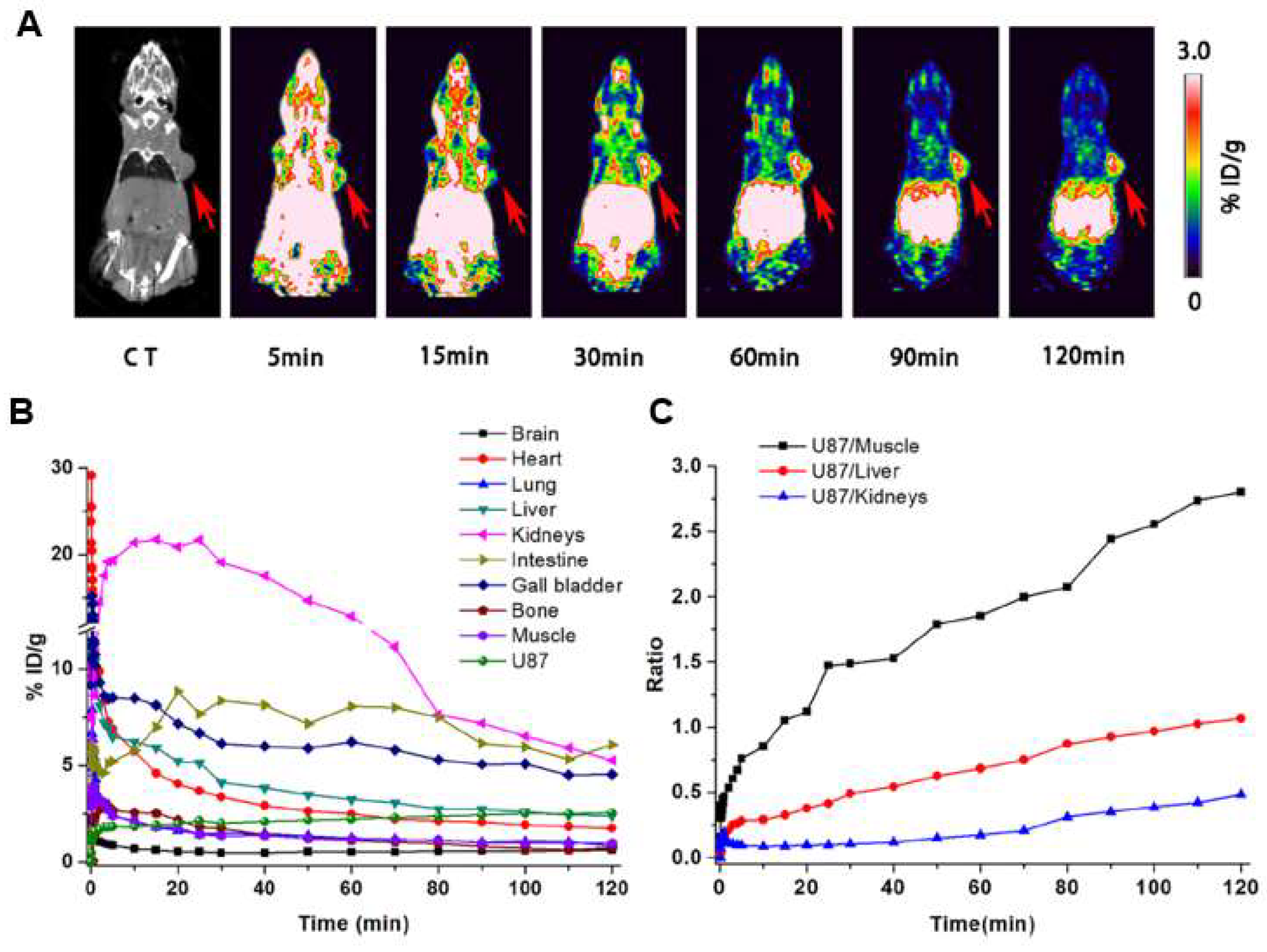 Ijms 25 08553 g002 Ijms 25 08553 g002