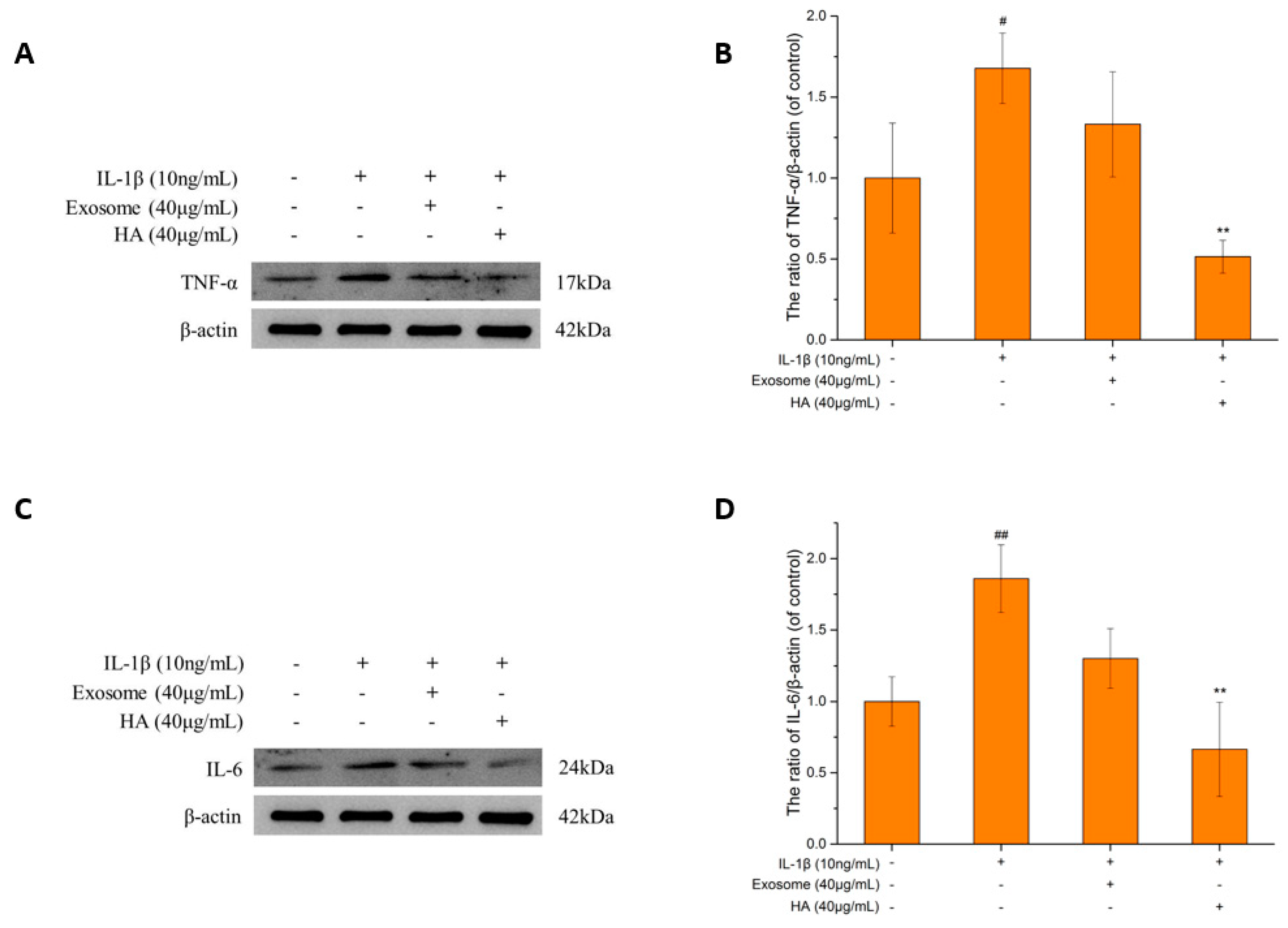 Ijms 25 08560 g003 Ijms 25 08560 g003