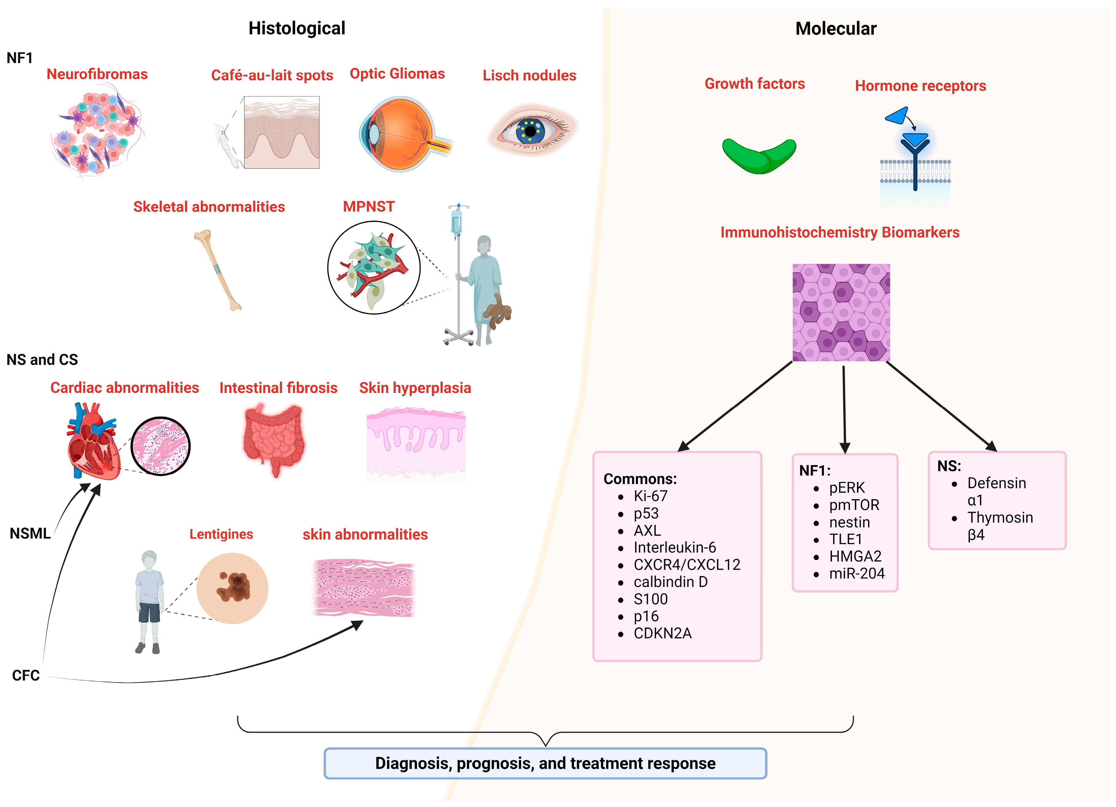 Ijms 25 08563 g003 Ijms 25 08563 g003