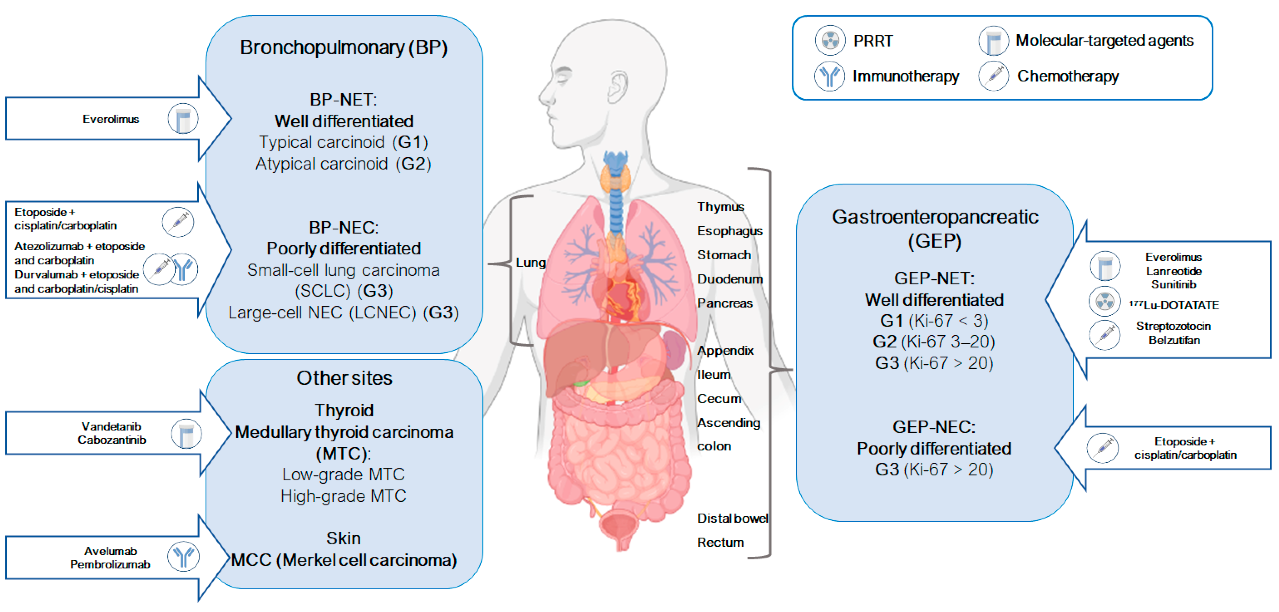 Ijms 25 08568 g001 Ijms 25 08568 g001