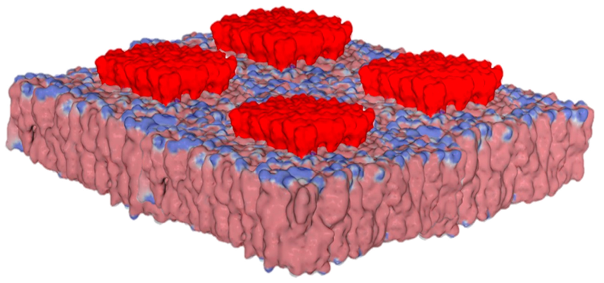 Ijms 25 08583 g002 Ijms 25 08583 g002