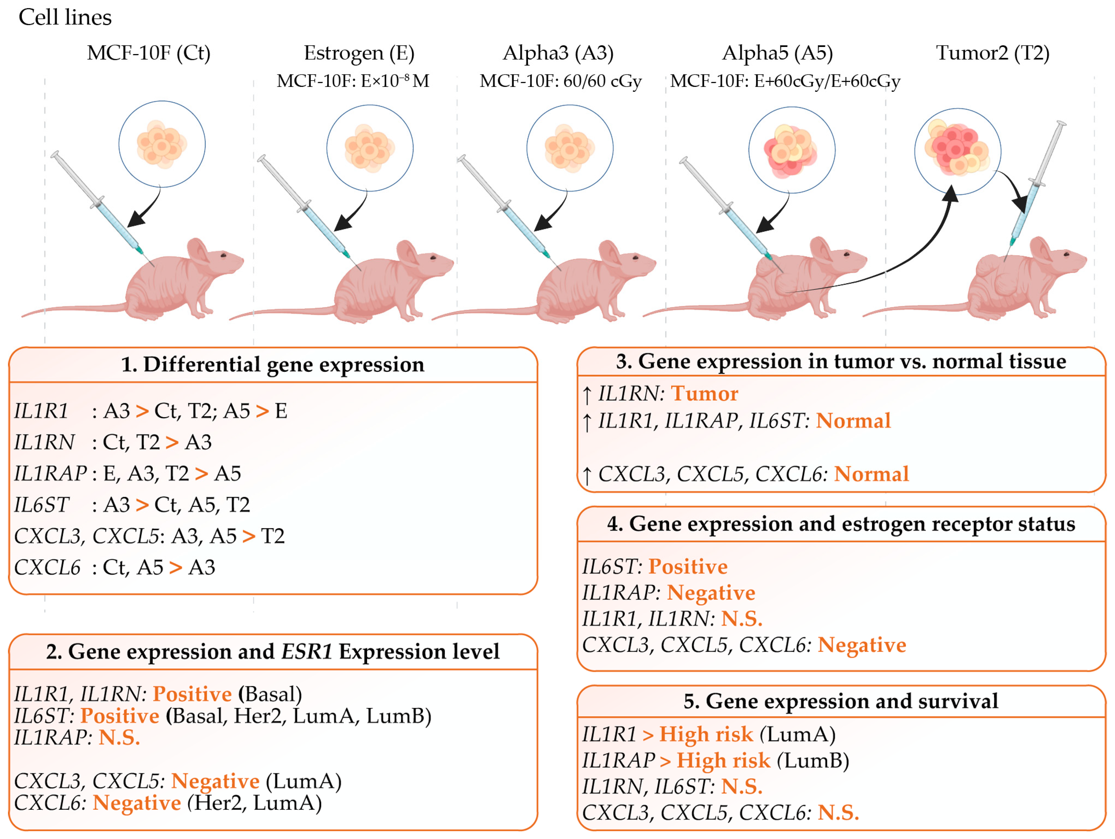 Ijms 25 08604 g007 Ijms 25 08604 g007