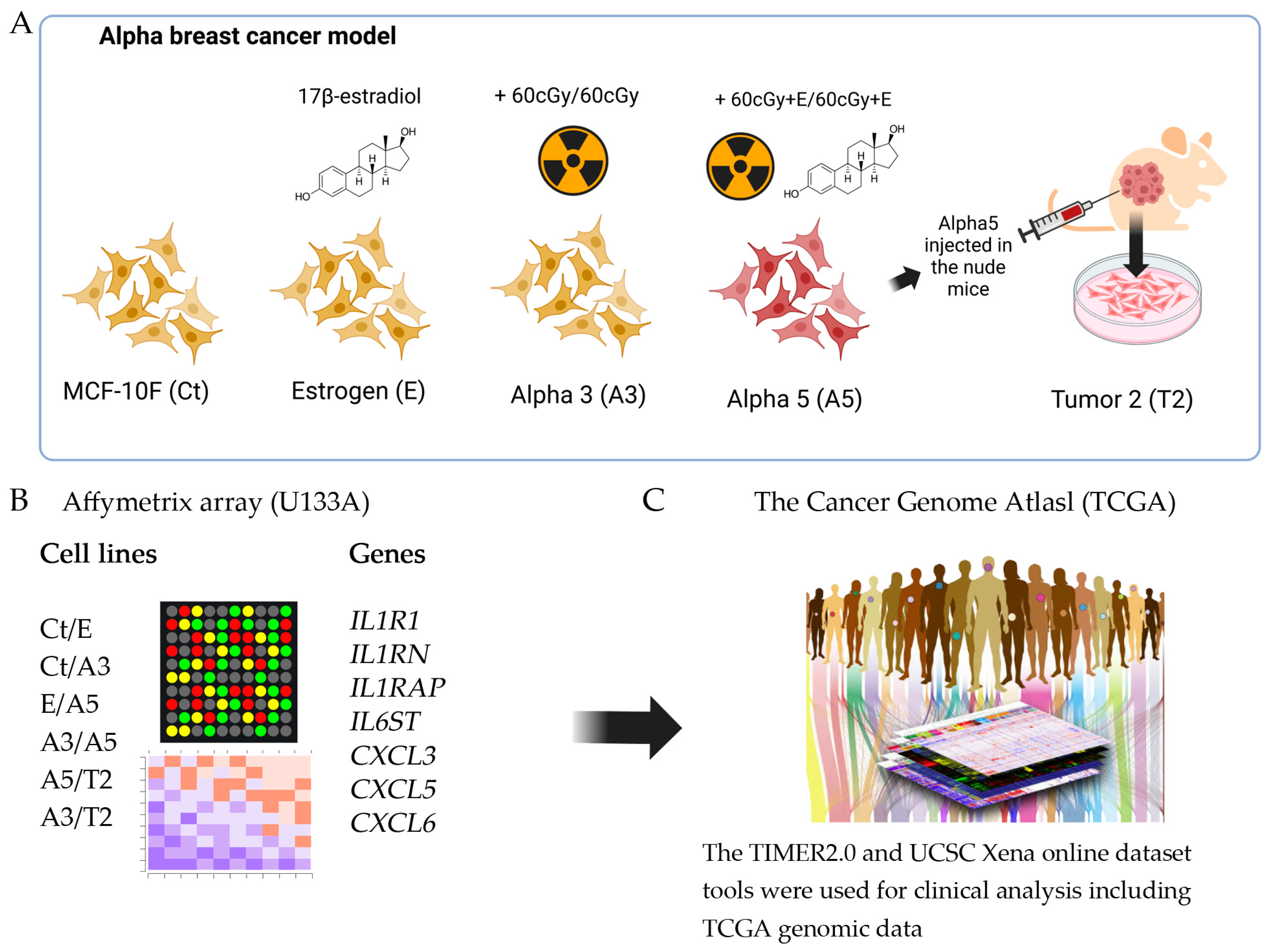 Ijms 25 08604 g008 Ijms 25 08604 g008