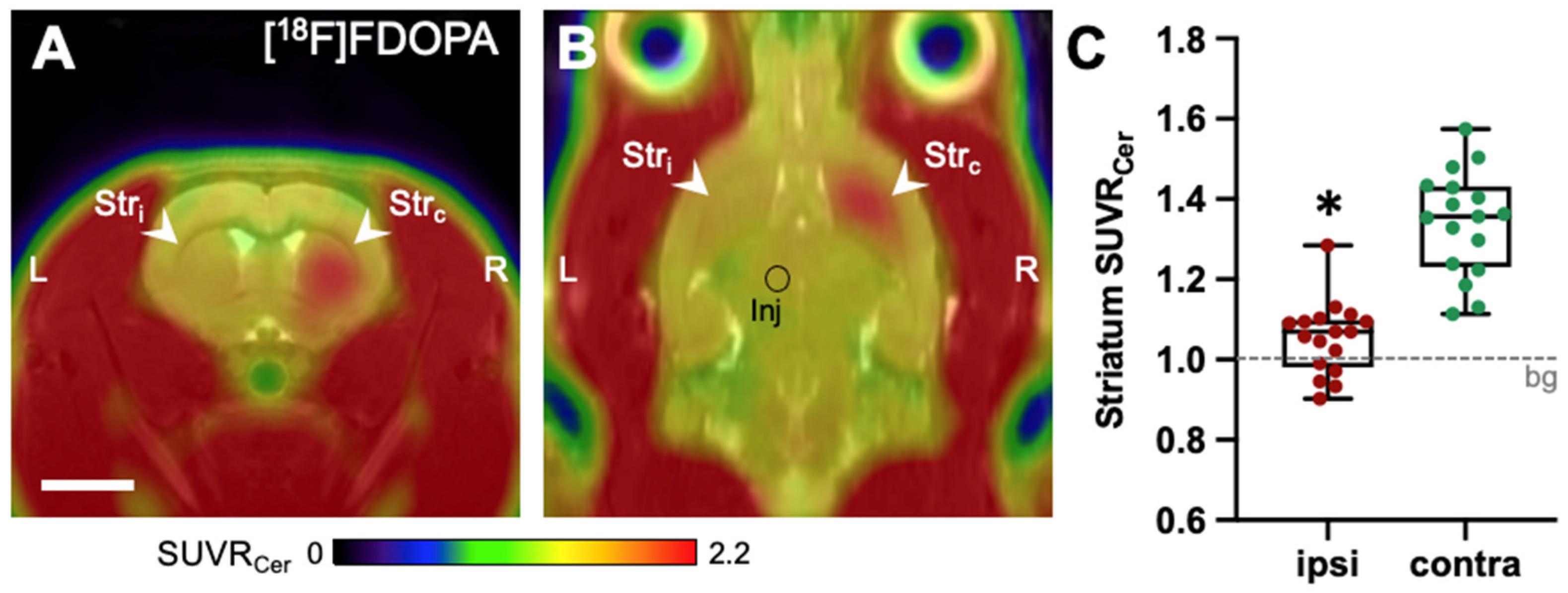 Ijms 25 08617 g001 Ijms 25 08617 g001