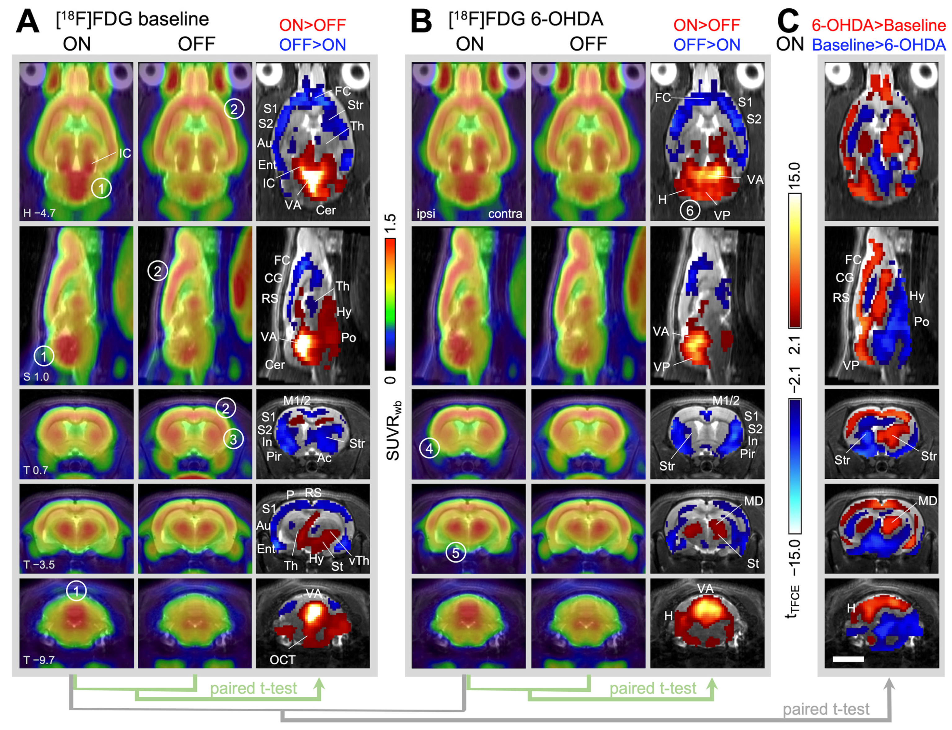 Ijms 25 08617 g002 Ijms 25 08617 g002