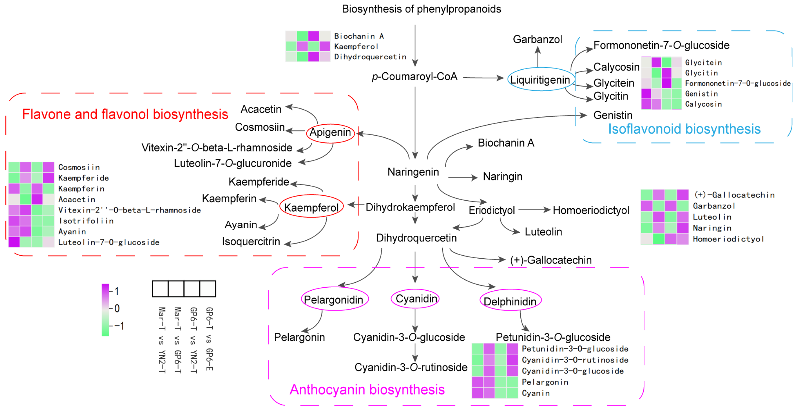 Ijms 25 08624 g005 Ijms 25 08624 g005