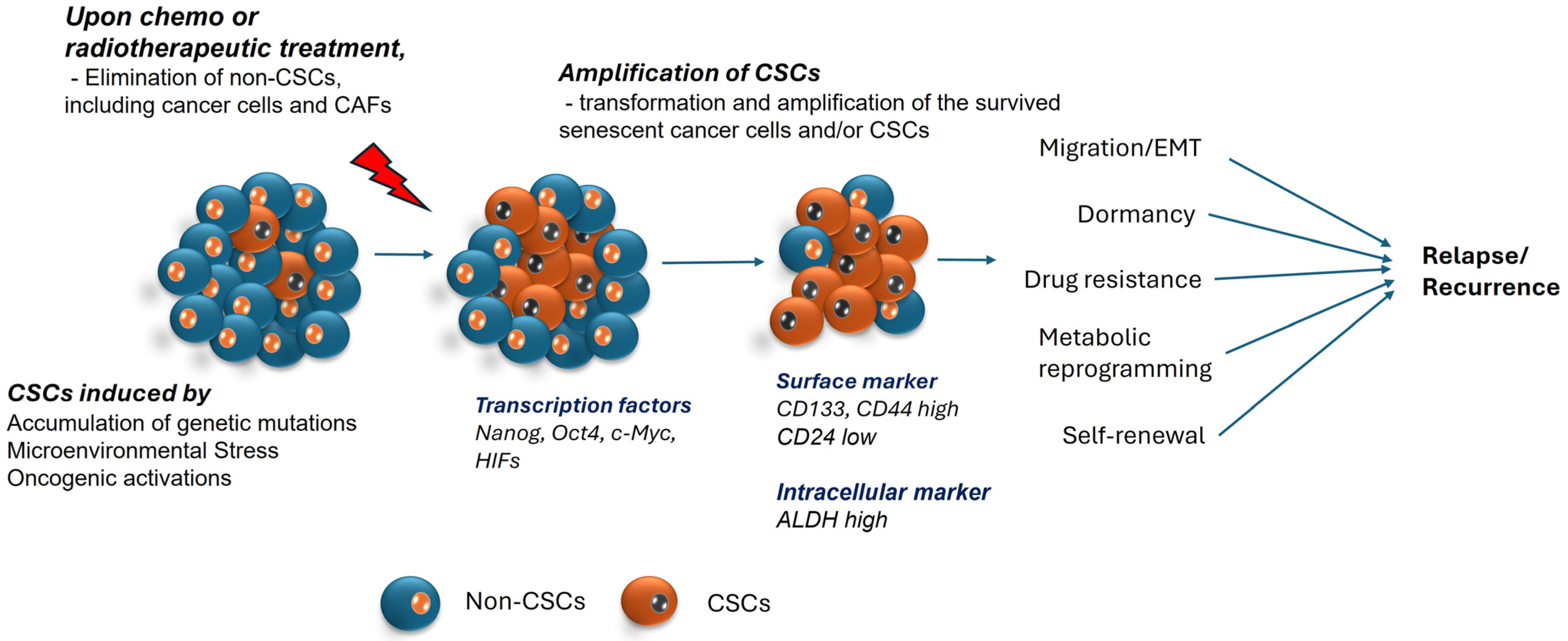 Ijms 25 08647 g001 Ijms 25 08647 g001