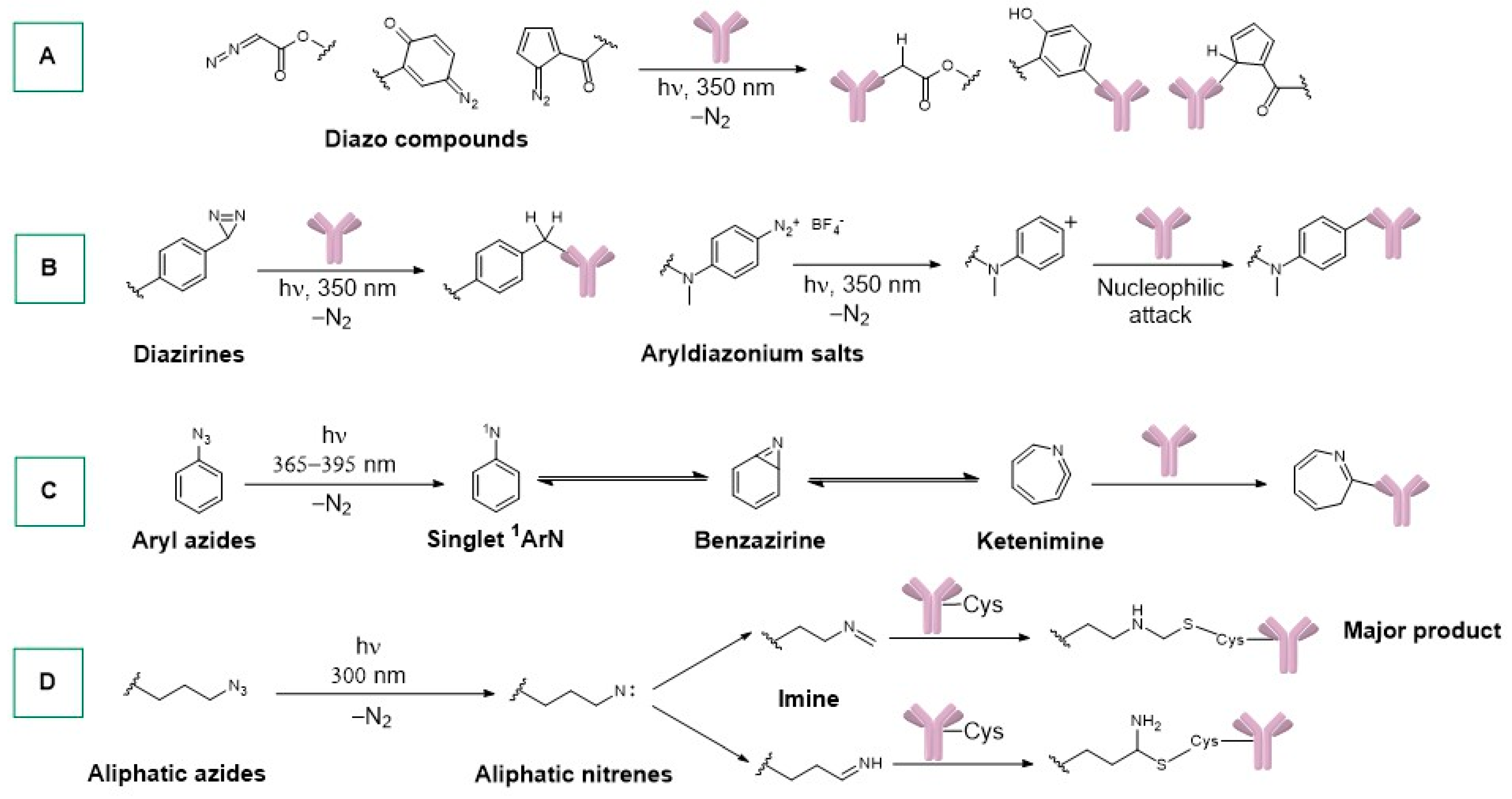 Ijms 25 08651 sch001 Ijms 25 08651 sch001