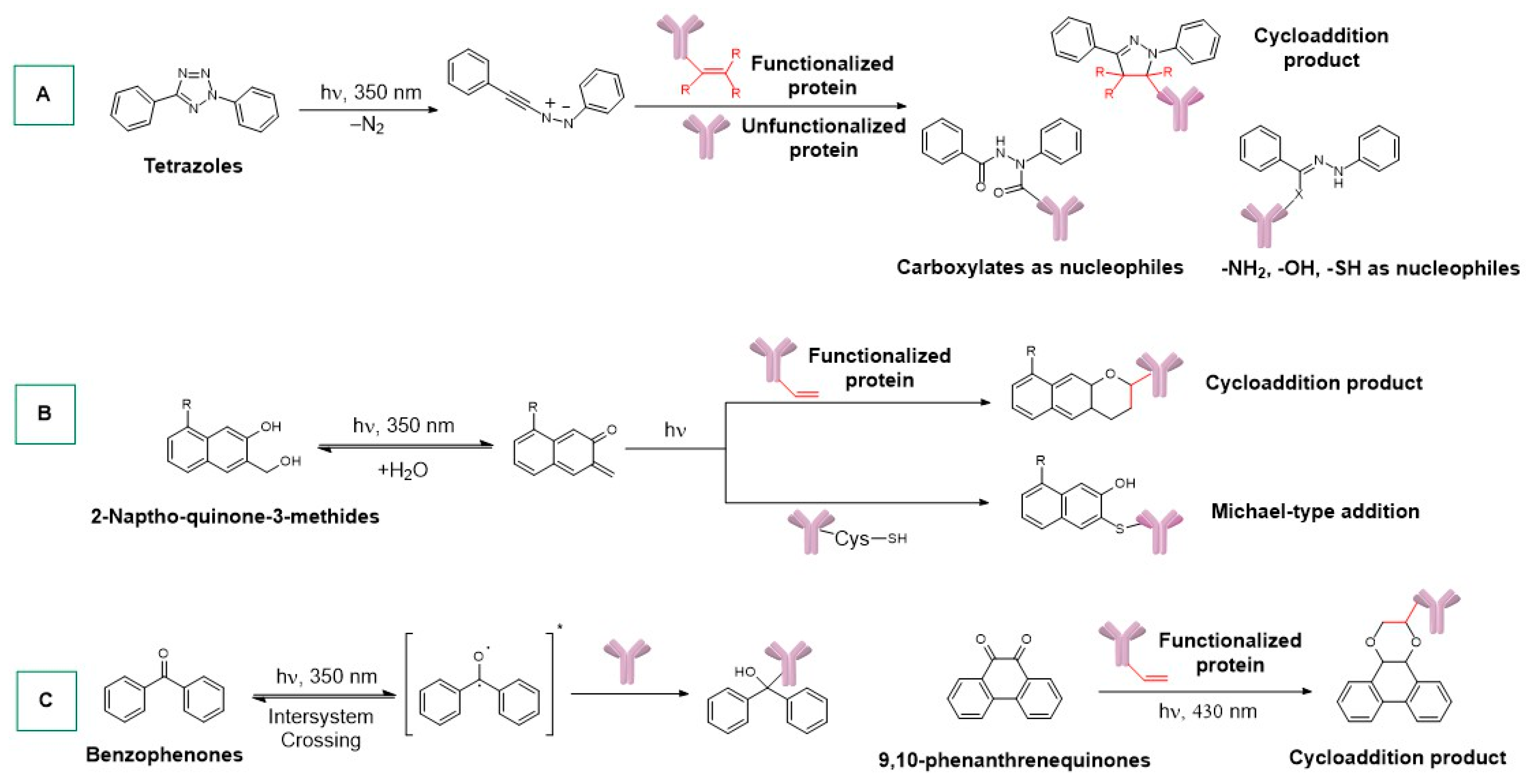 Ijms 25 08651 sch002 Ijms 25 08651 sch002