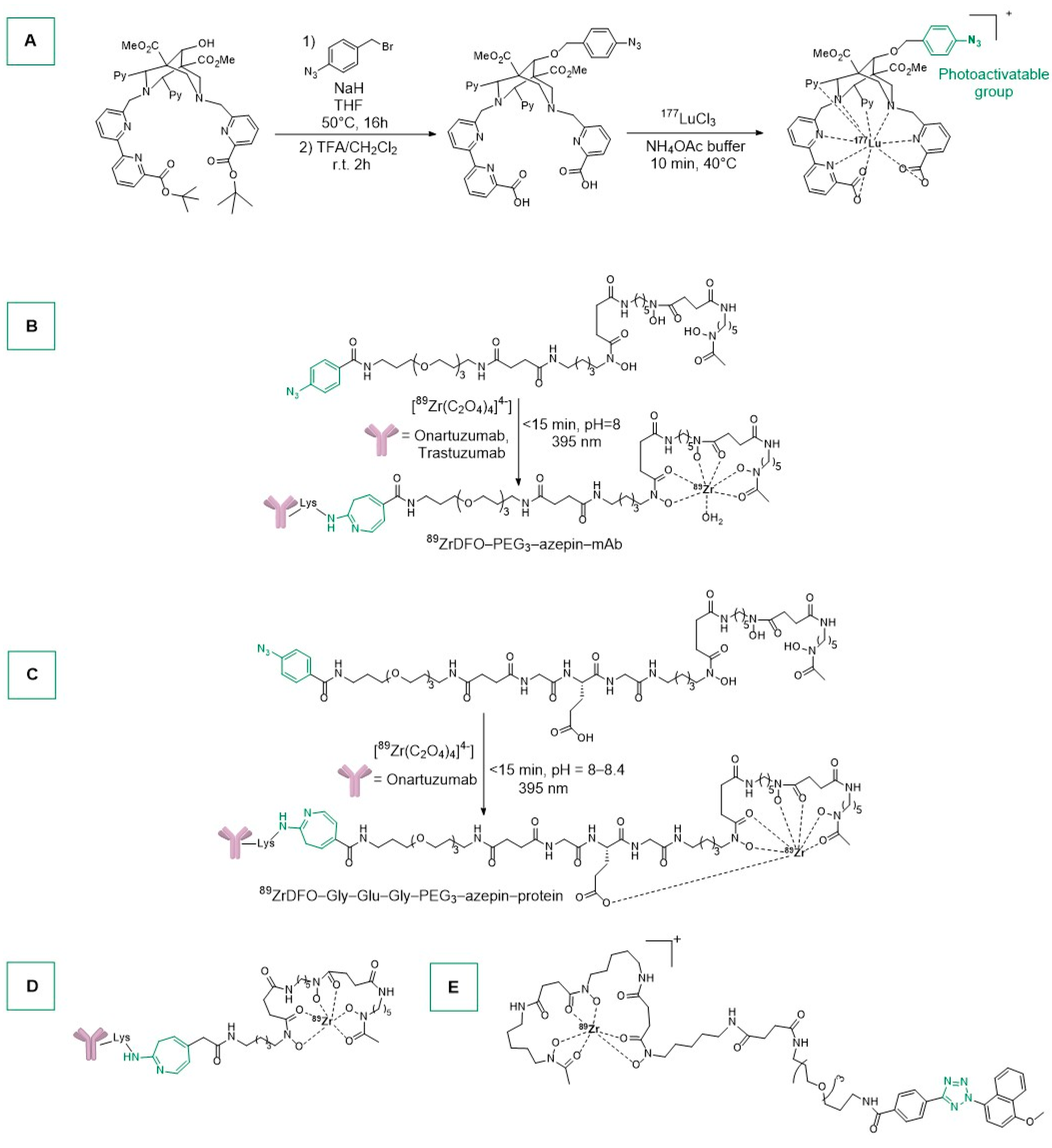 Ijms 25 08651 sch003 Ijms 25 08651 sch003