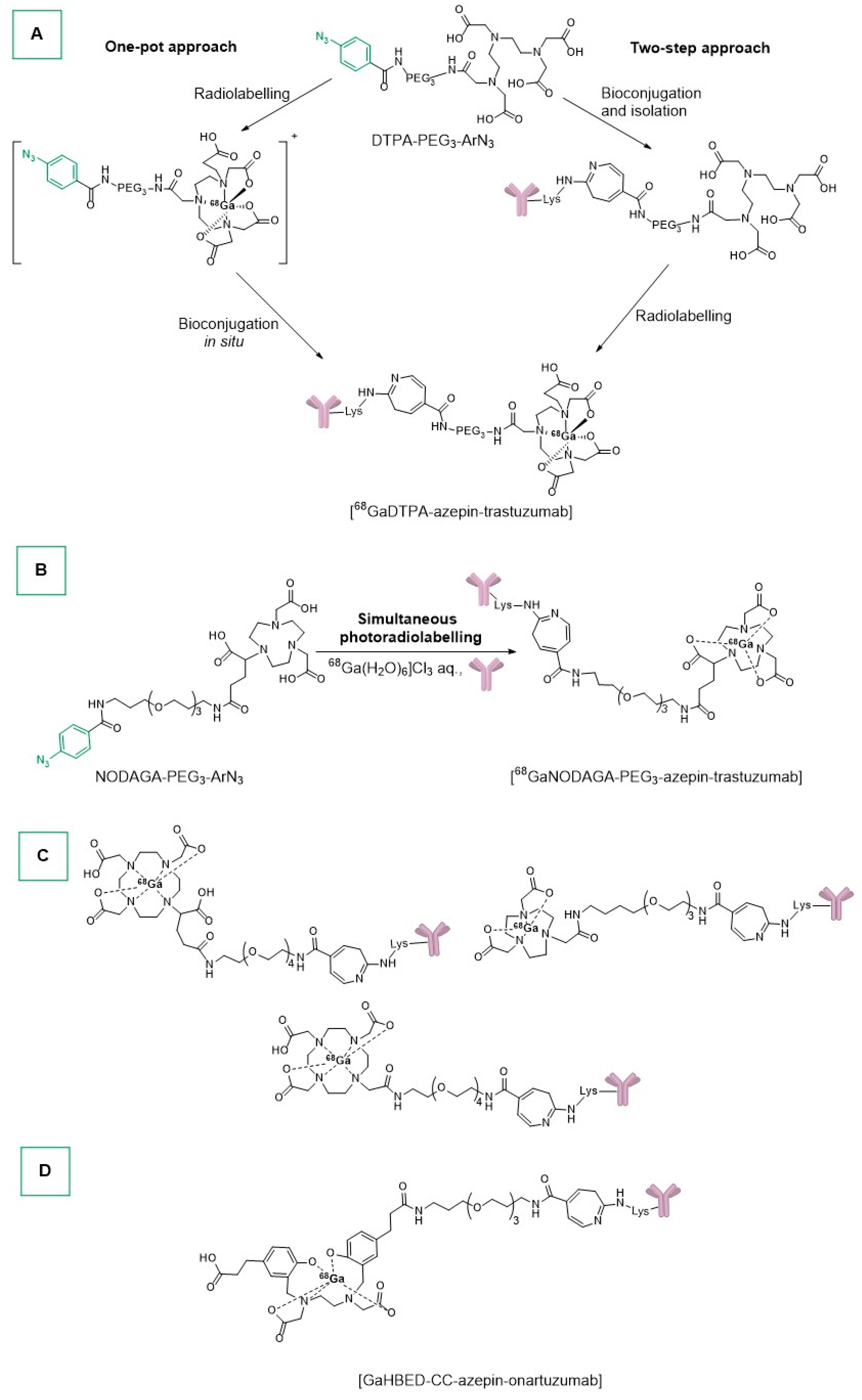 Ijms 25 08651 sch004 Ijms 25 08651 sch004