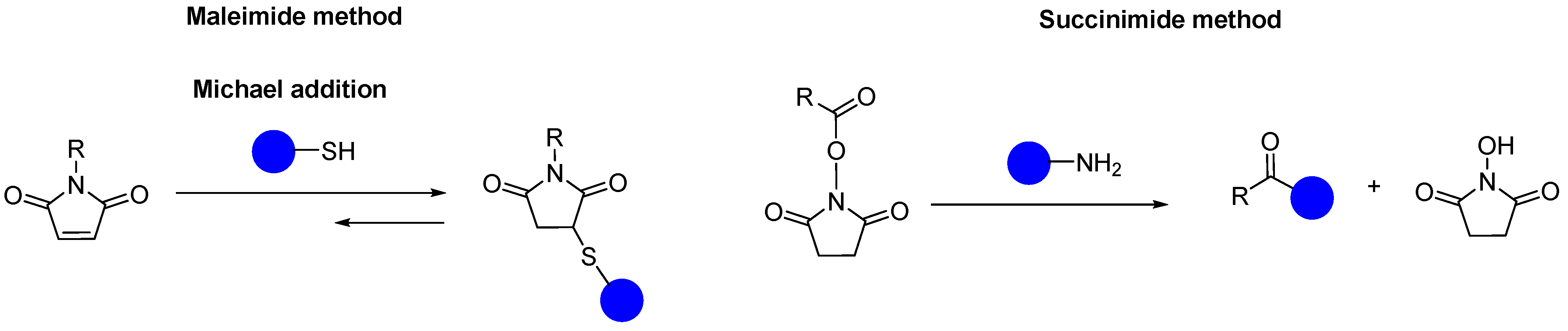 Ijms 25 08651 sch005 Ijms 25 08651 sch005