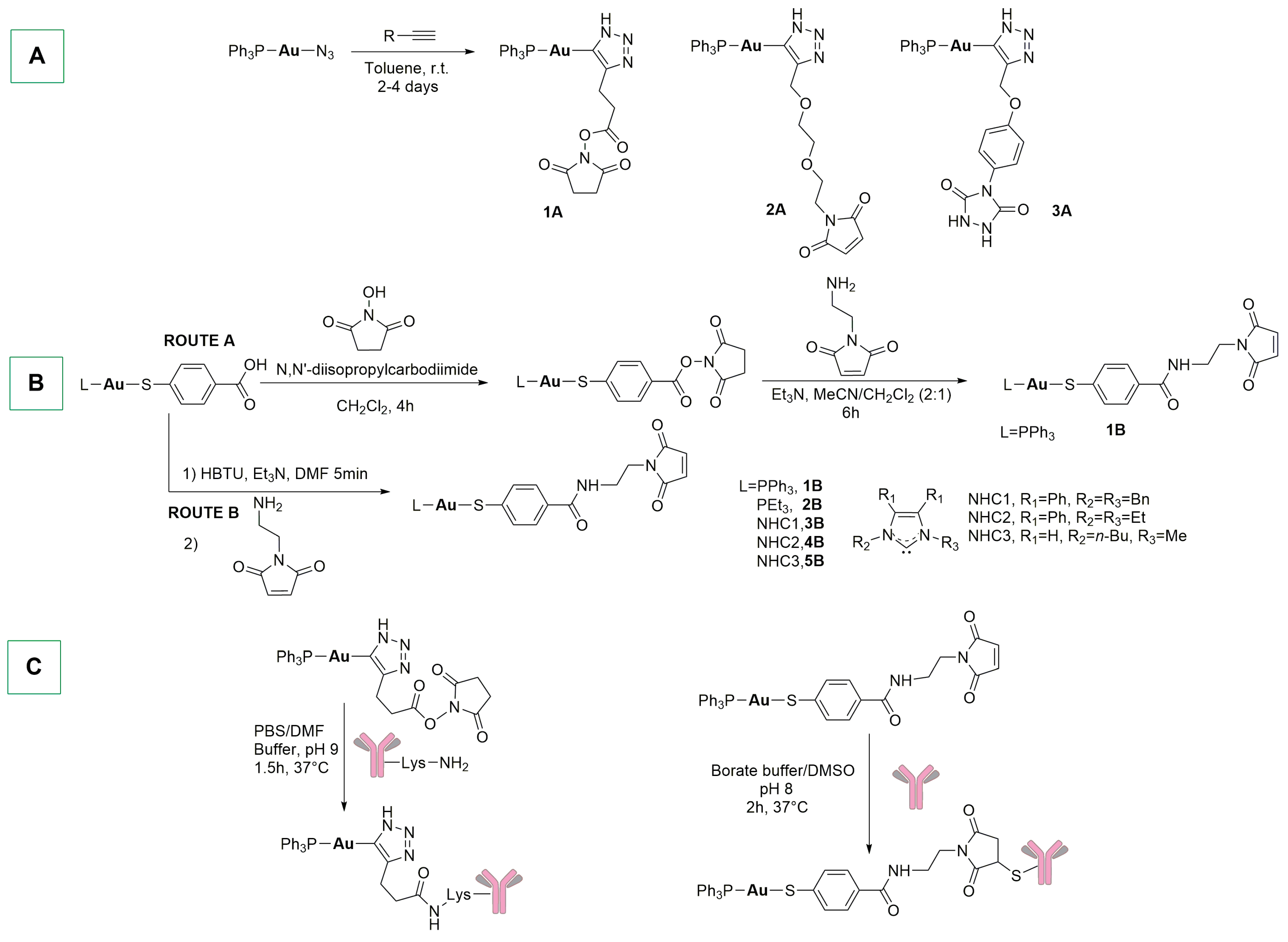 Ijms 25 08651 sch006 Ijms 25 08651 sch006