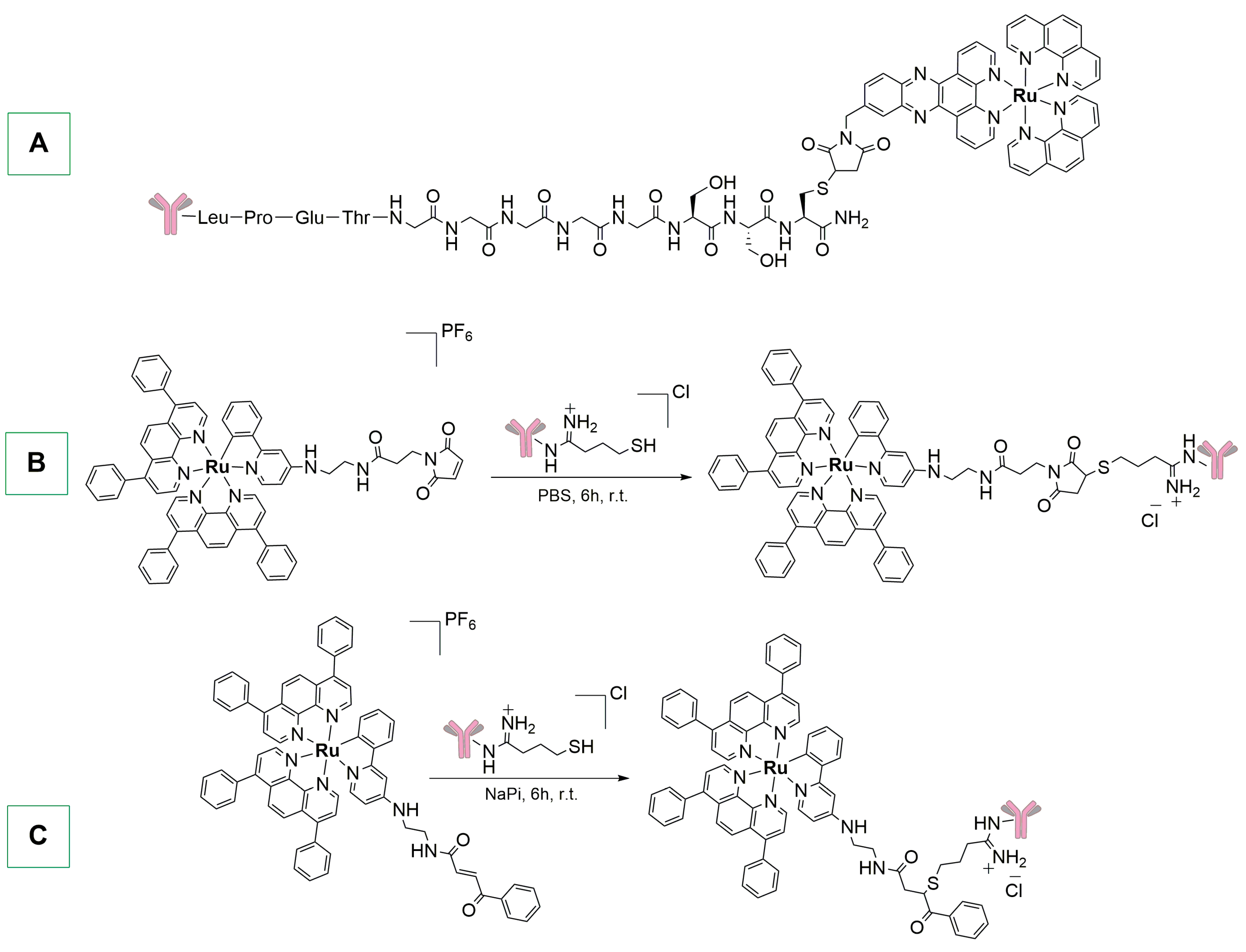 Ijms 25 08651 sch007 Ijms 25 08651 sch007