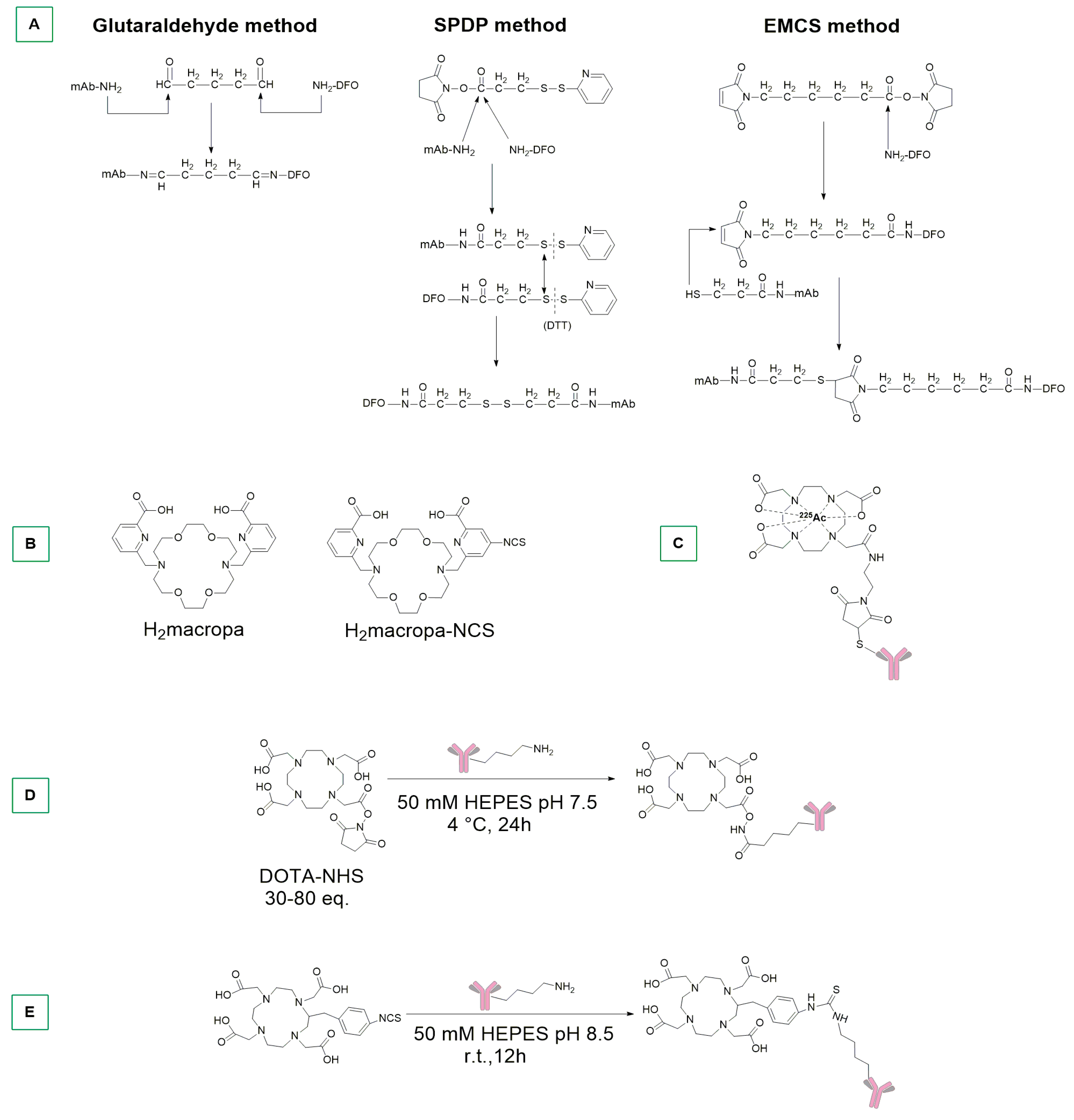 Ijms 25 08651 sch008 Ijms 25 08651 sch008