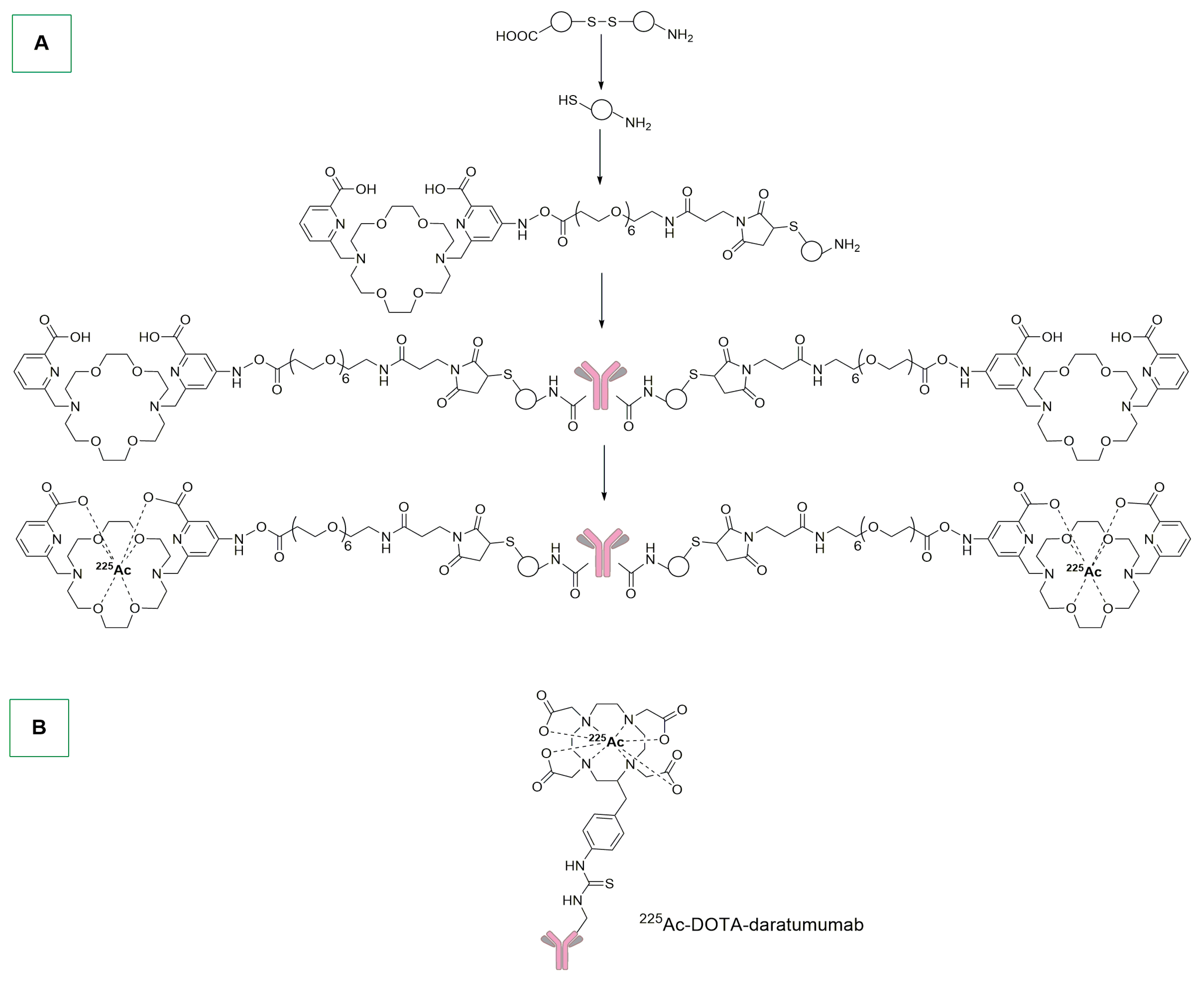 Ijms 25 08651 sch011 Ijms 25 08651 sch011
