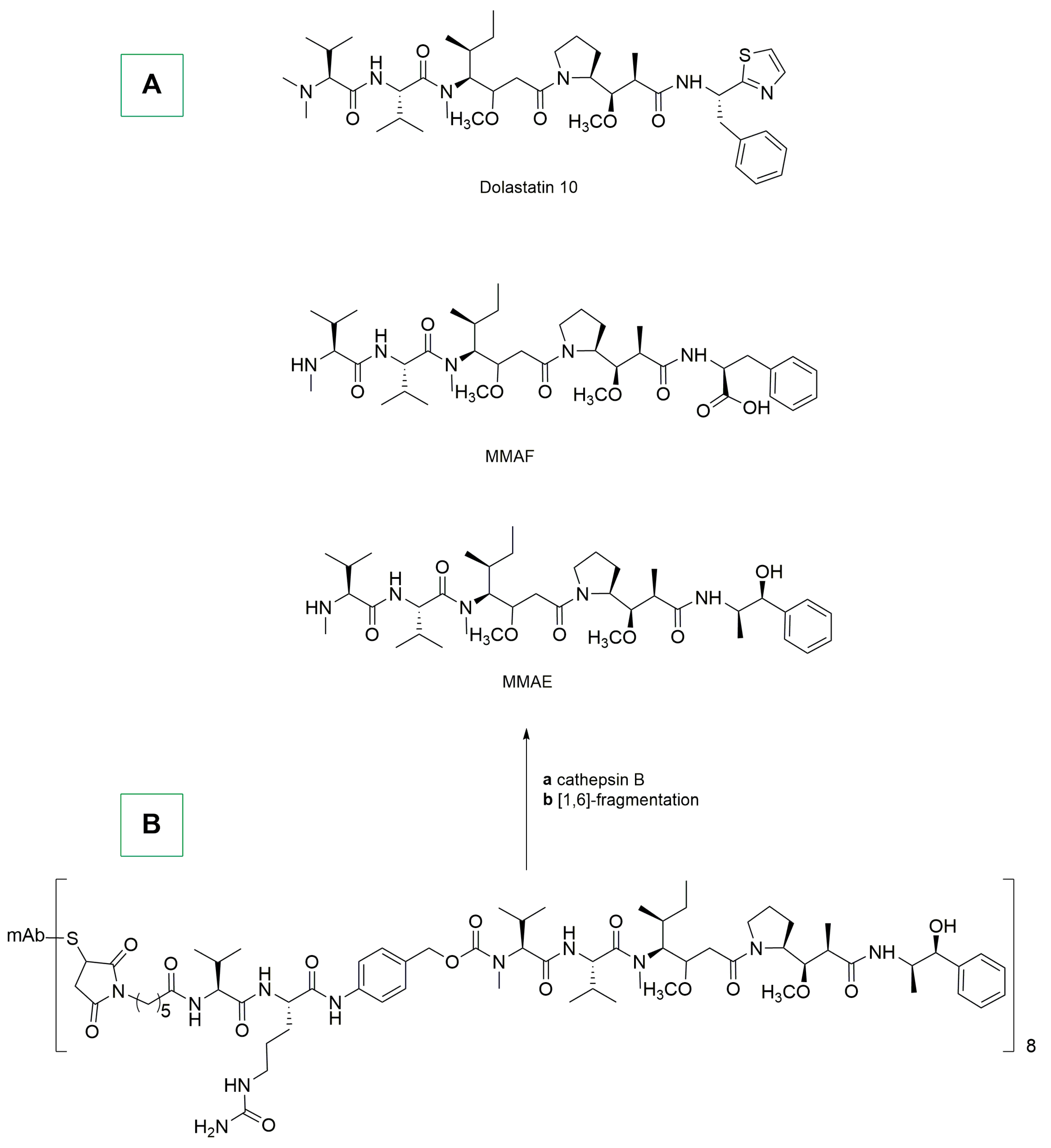 Ijms 25 08651 sch012 Ijms 25 08651 sch012