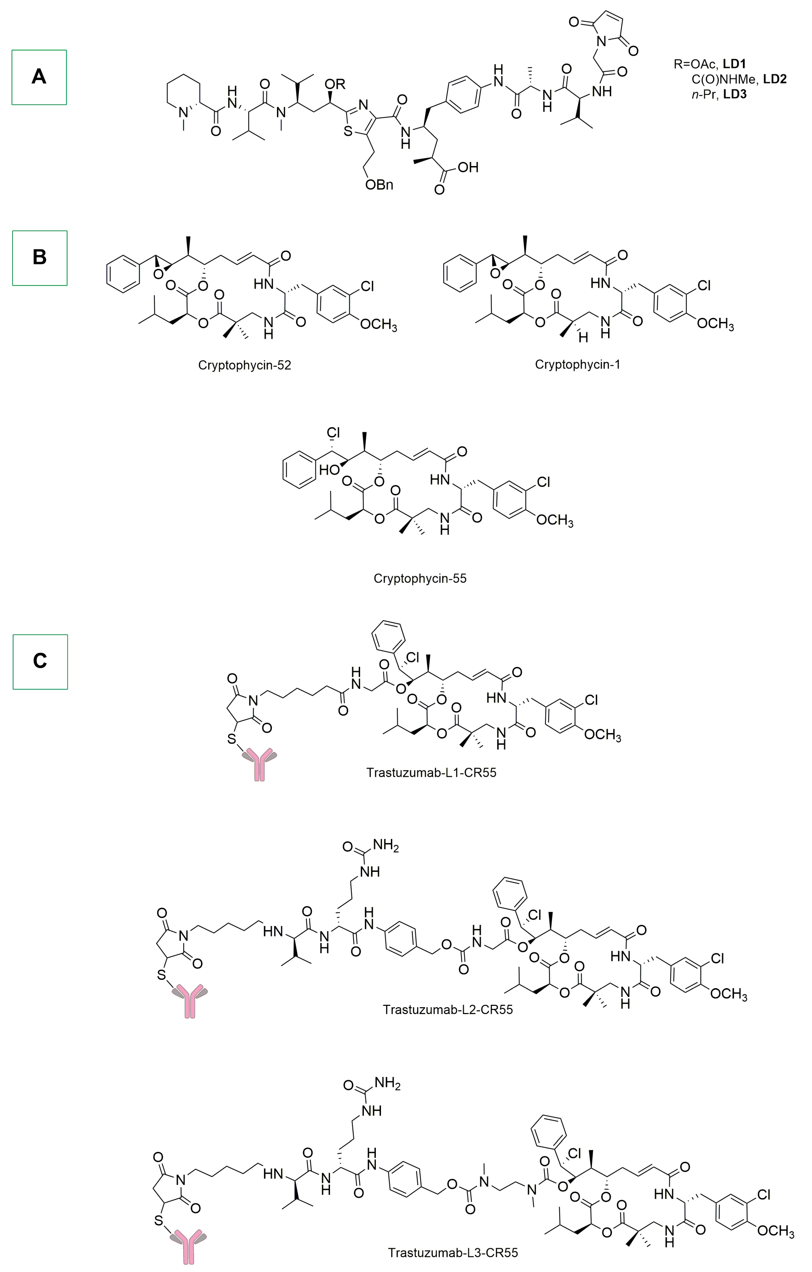 Ijms 25 08651 sch014 Ijms 25 08651 sch014