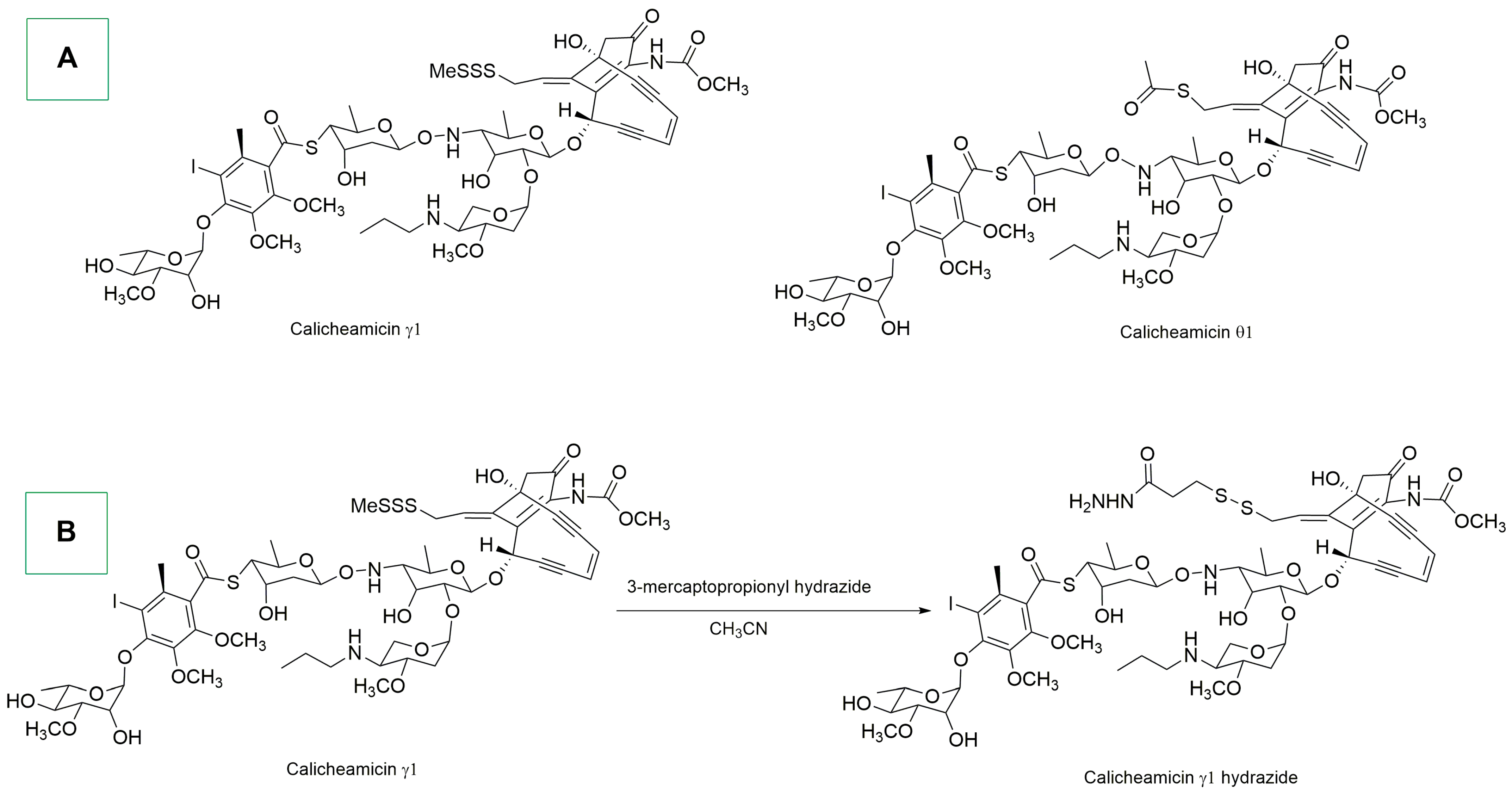 Ijms 25 08651 sch015 Ijms 25 08651 sch015