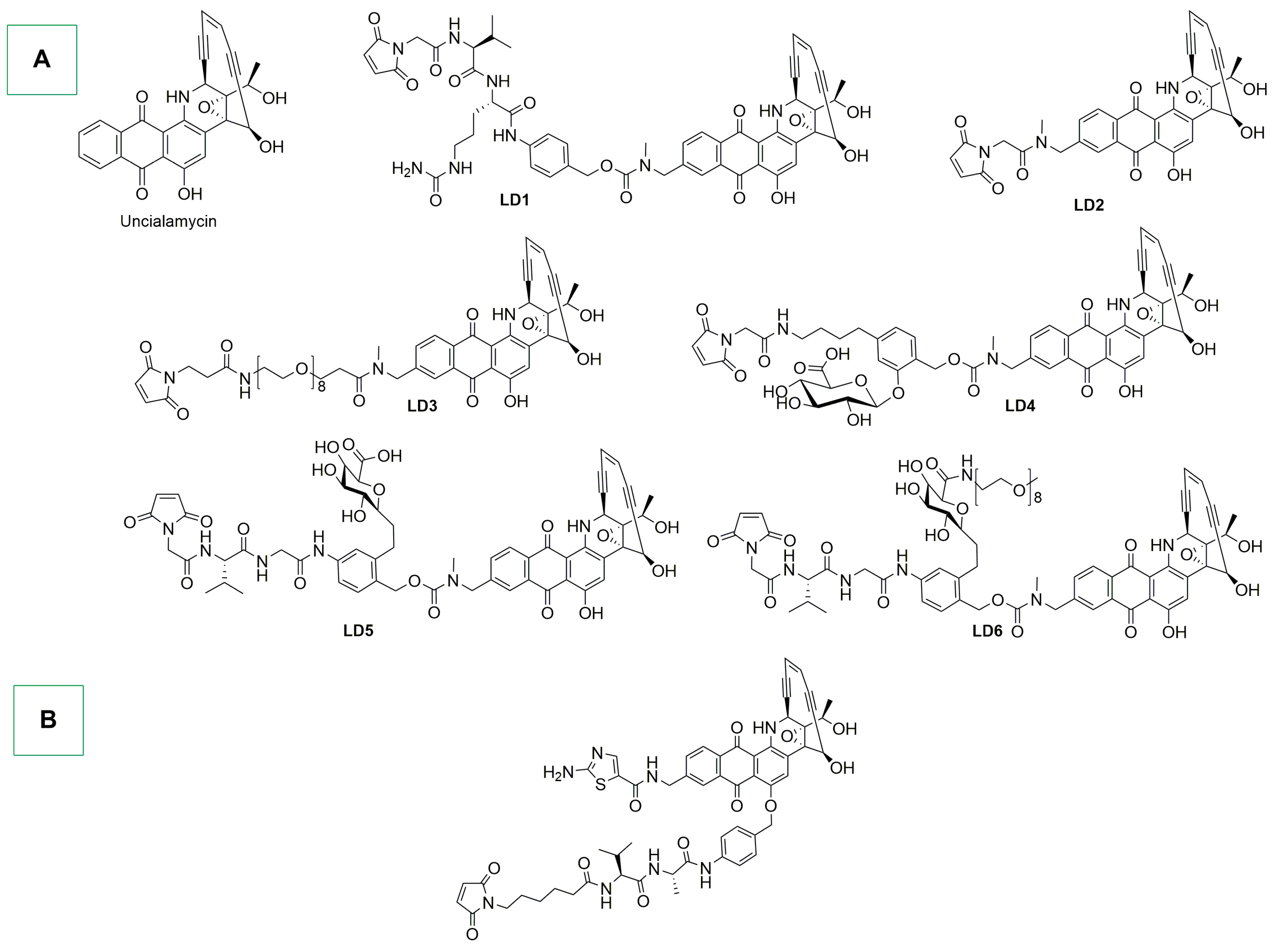 Ijms 25 08651 sch016 Ijms 25 08651 sch016