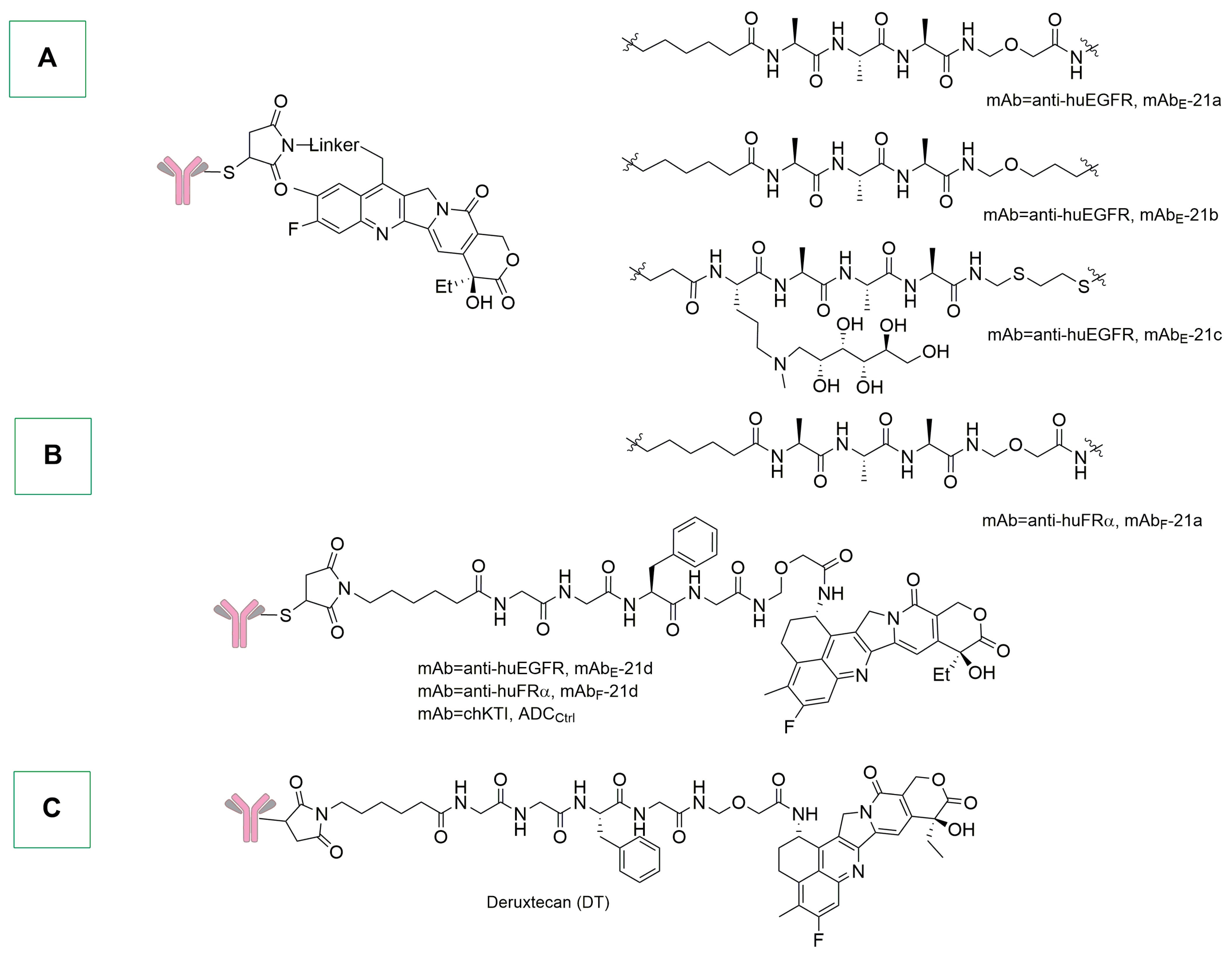Ijms 25 08651 sch018 Ijms 25 08651 sch018