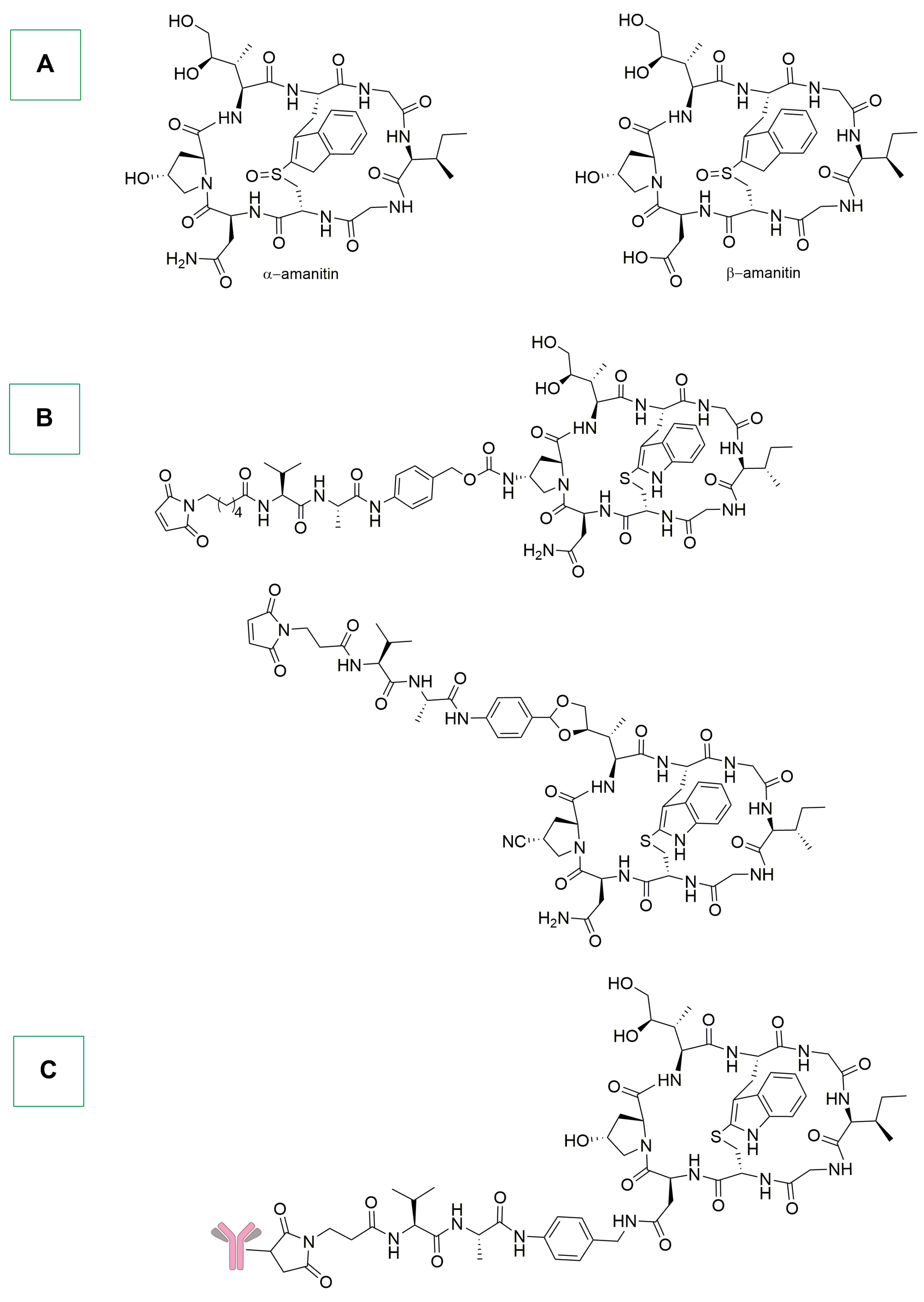 Ijms 25 08651 sch019 Ijms 25 08651 sch019