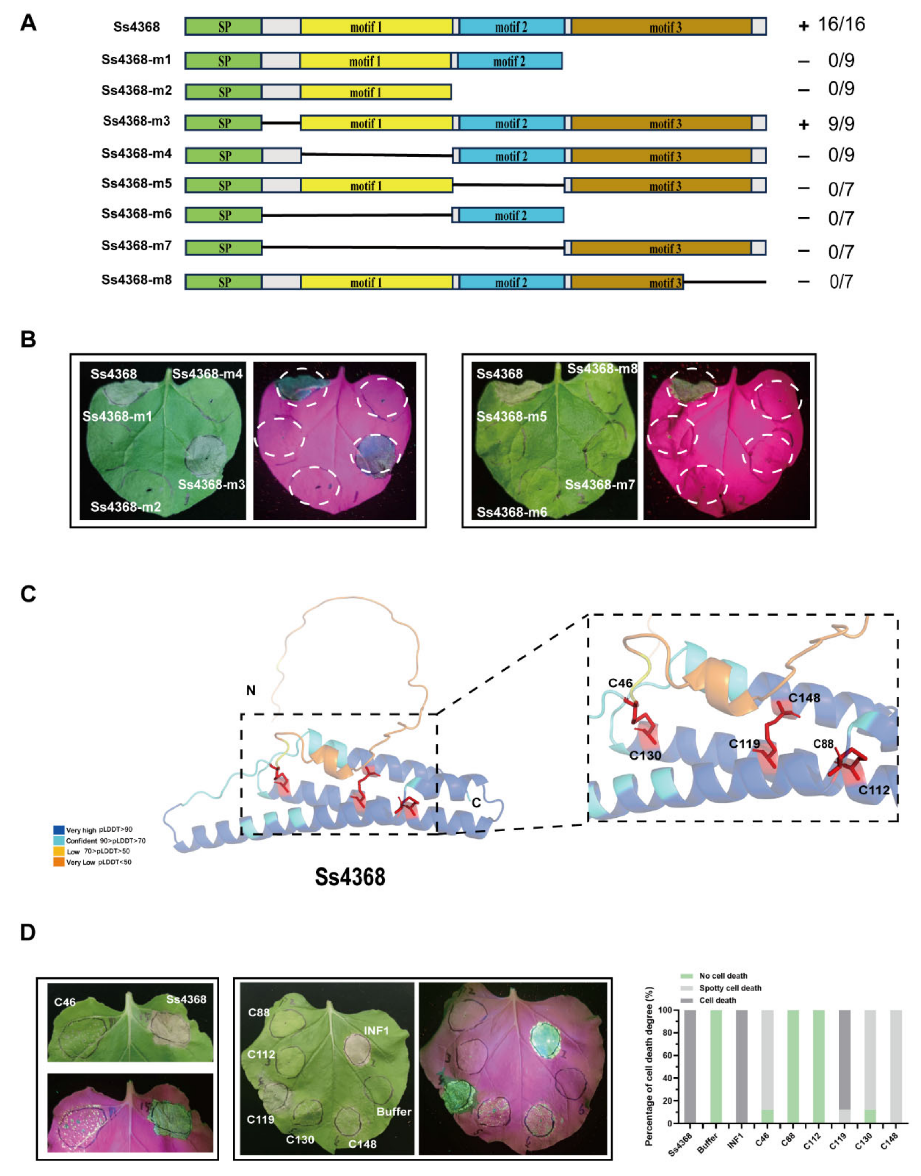 Ijms 25 08674 g003 Ijms 25 08674 g003