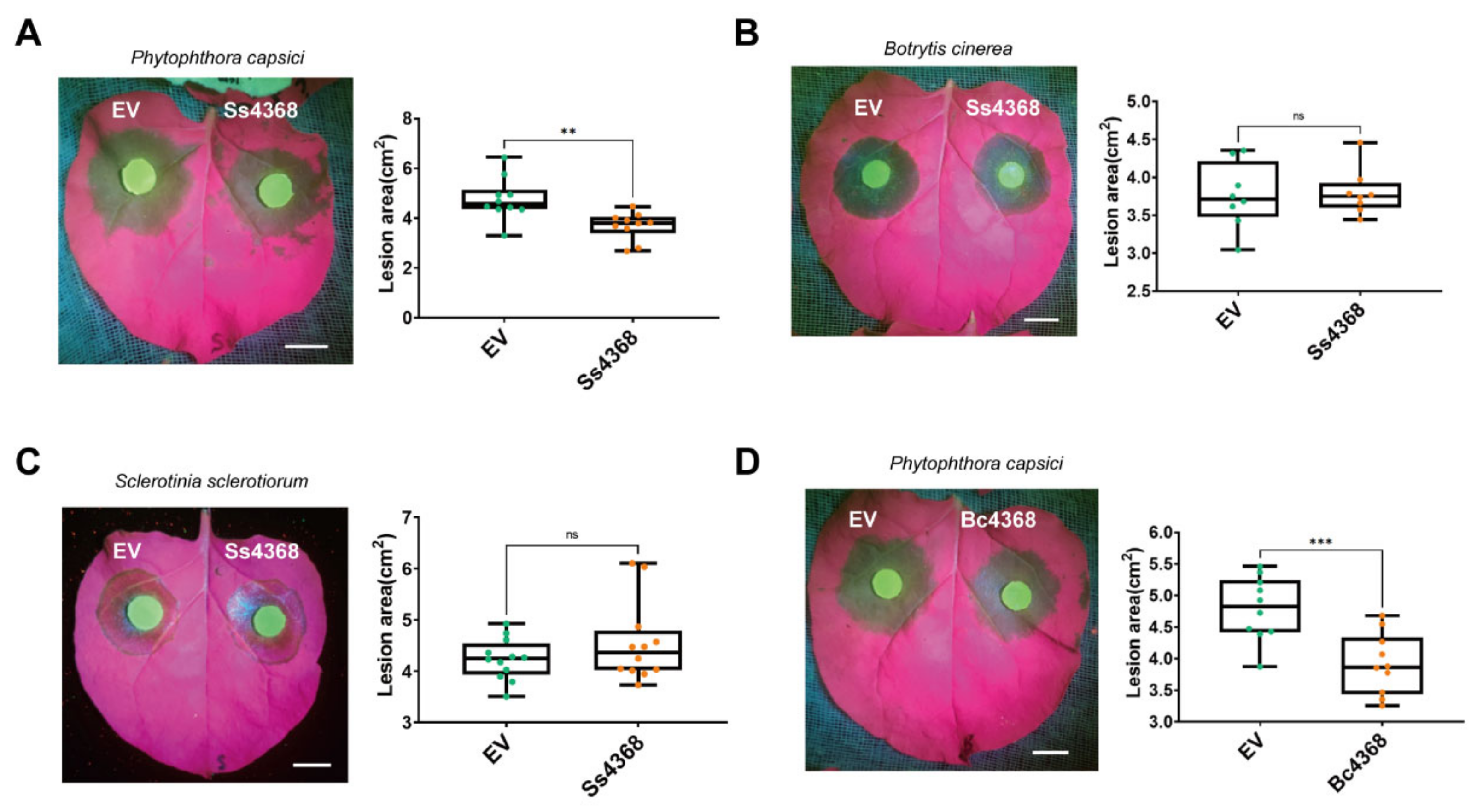 Ijms 25 08674 g005 Ijms 25 08674 g005