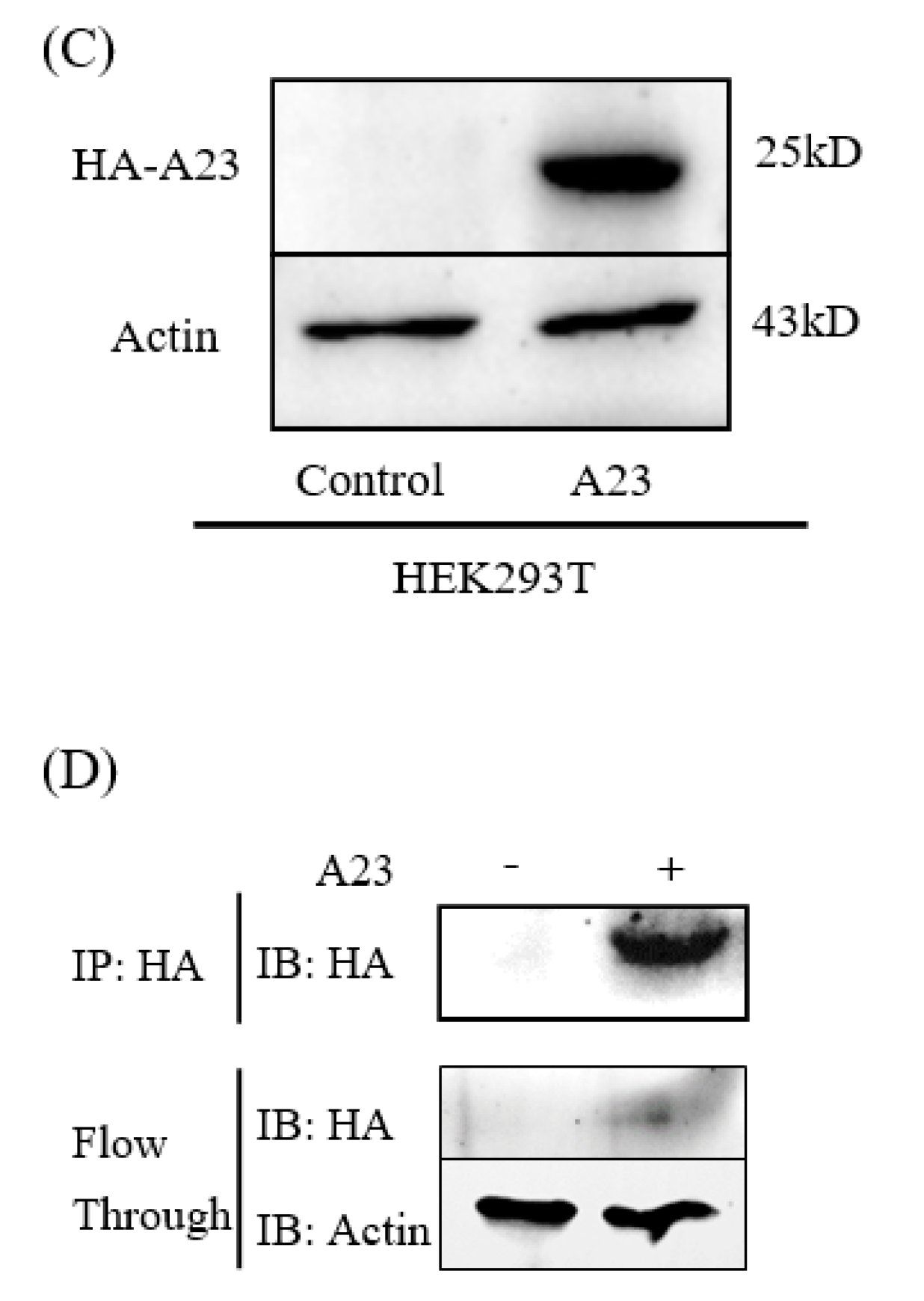 Ijms 25 08678 g001b Ijms 25 08678 g001b