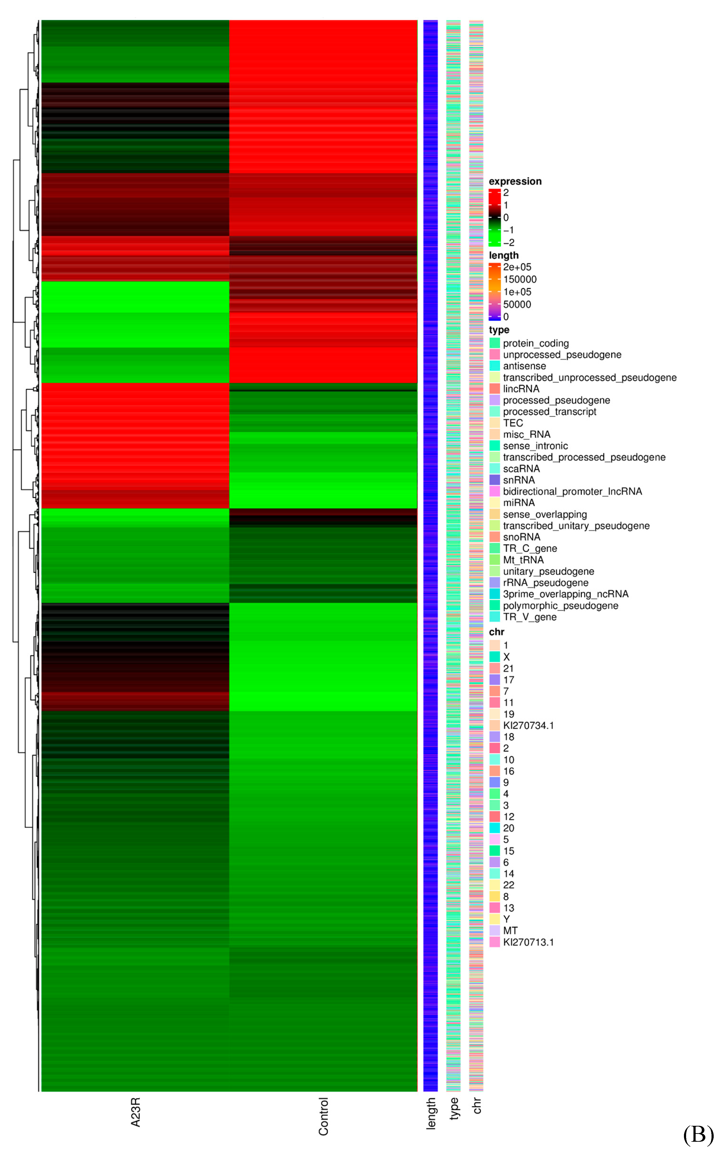 Ijms 25 08678 g002b Ijms 25 08678 g002b