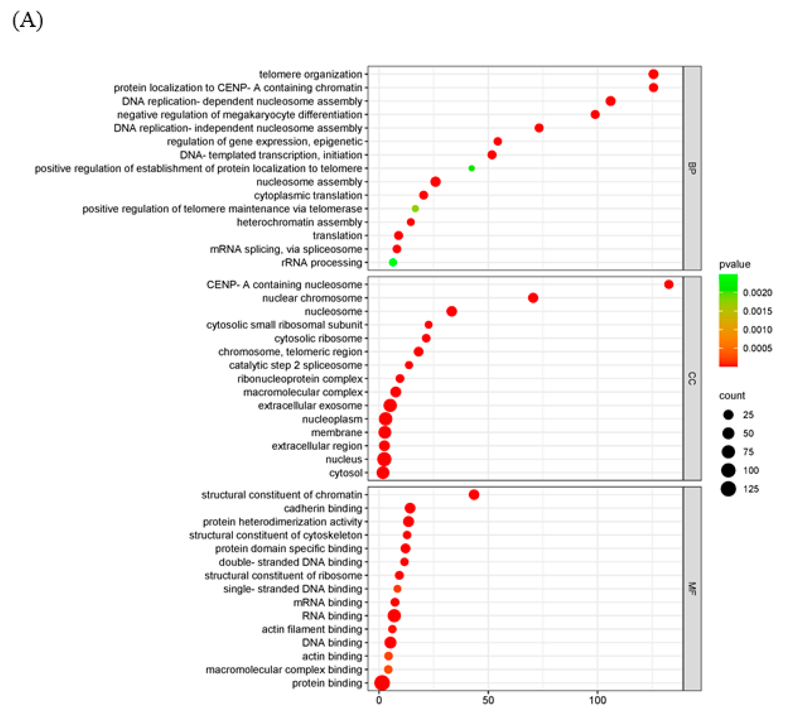 Ijms 25 08678 g005a Ijms 25 08678 g005a