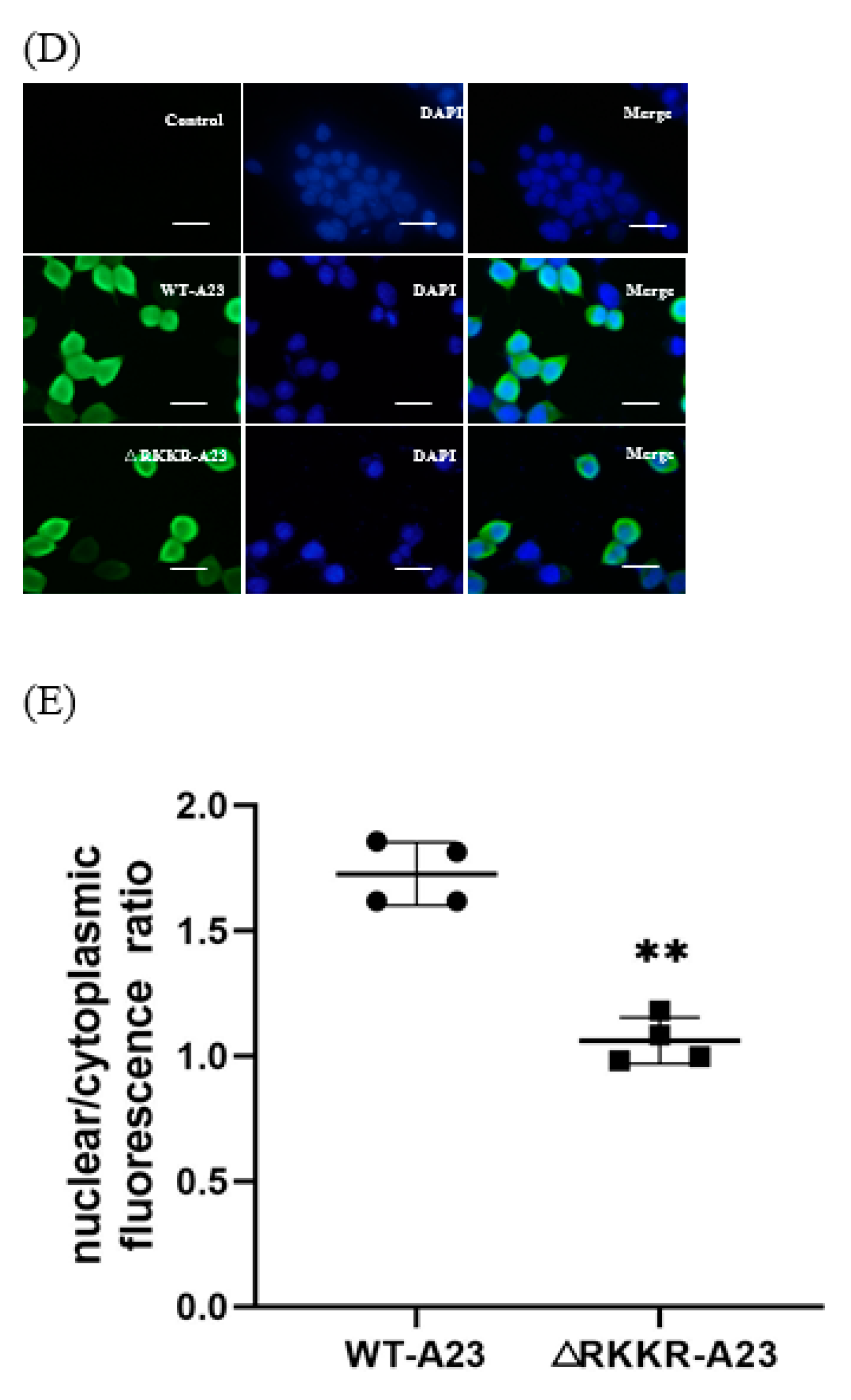 Ijms 25 08678 g006b Ijms 25 08678 g006b