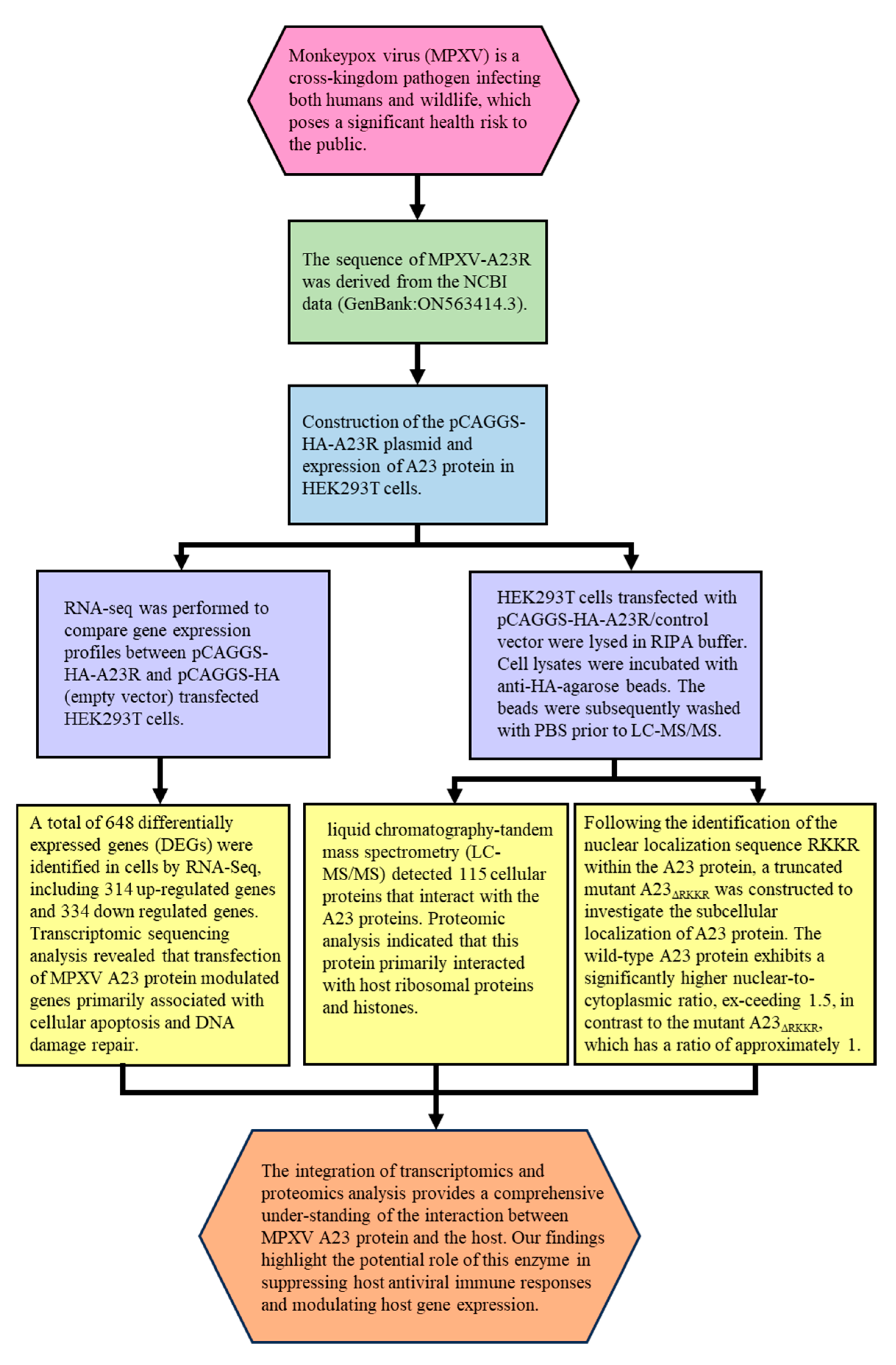 Ijms 25 08678 g007 Ijms 25 08678 g007