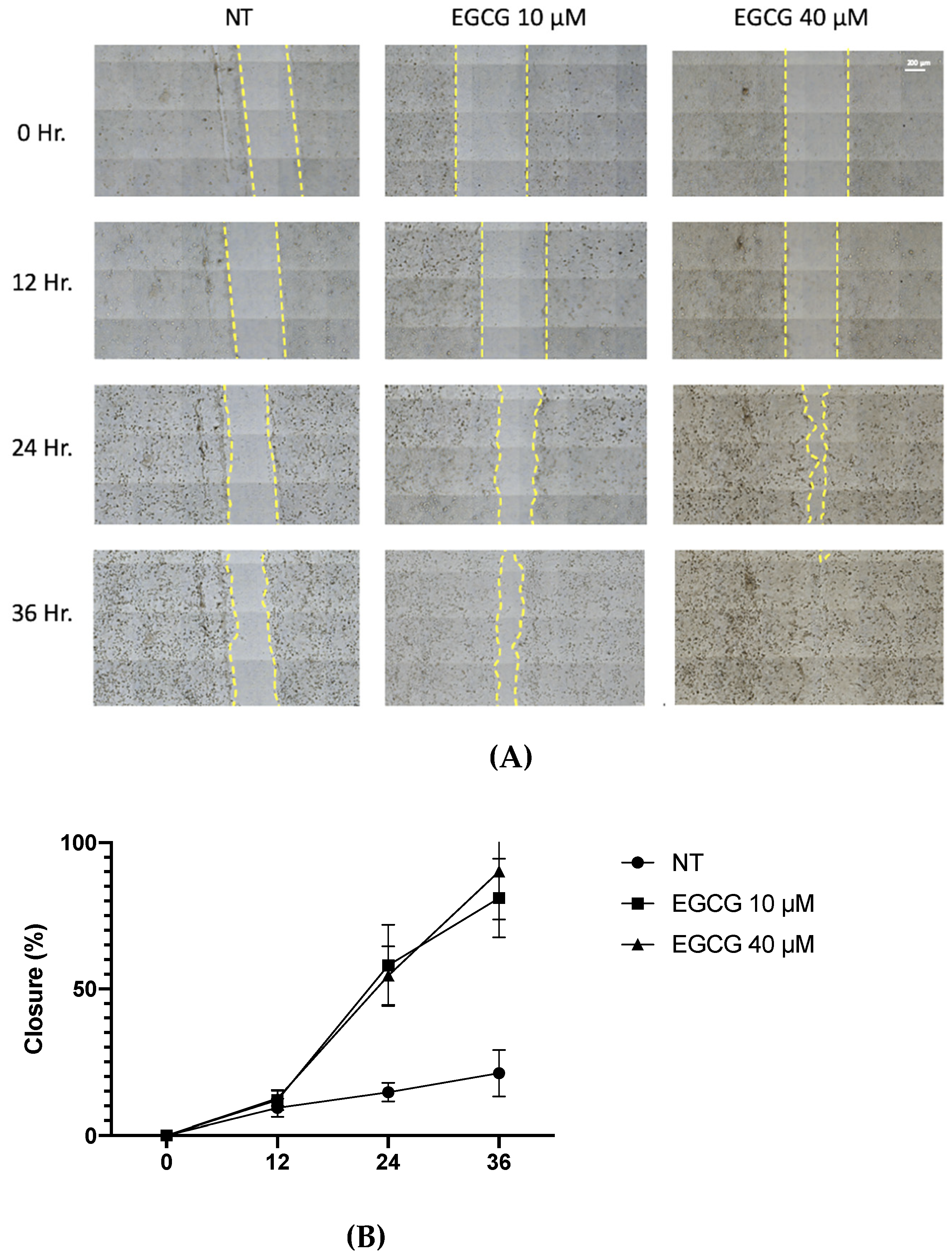 Ijms 25 08683 g003 Ijms 25 08683 g003